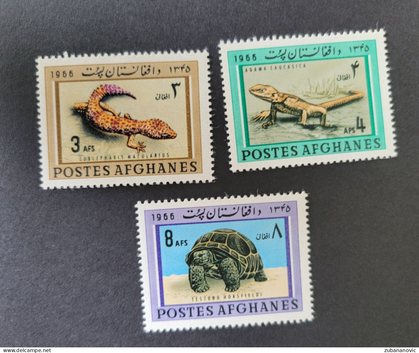 Afghanistan 1966 Reptiles - Autres & Non Classés