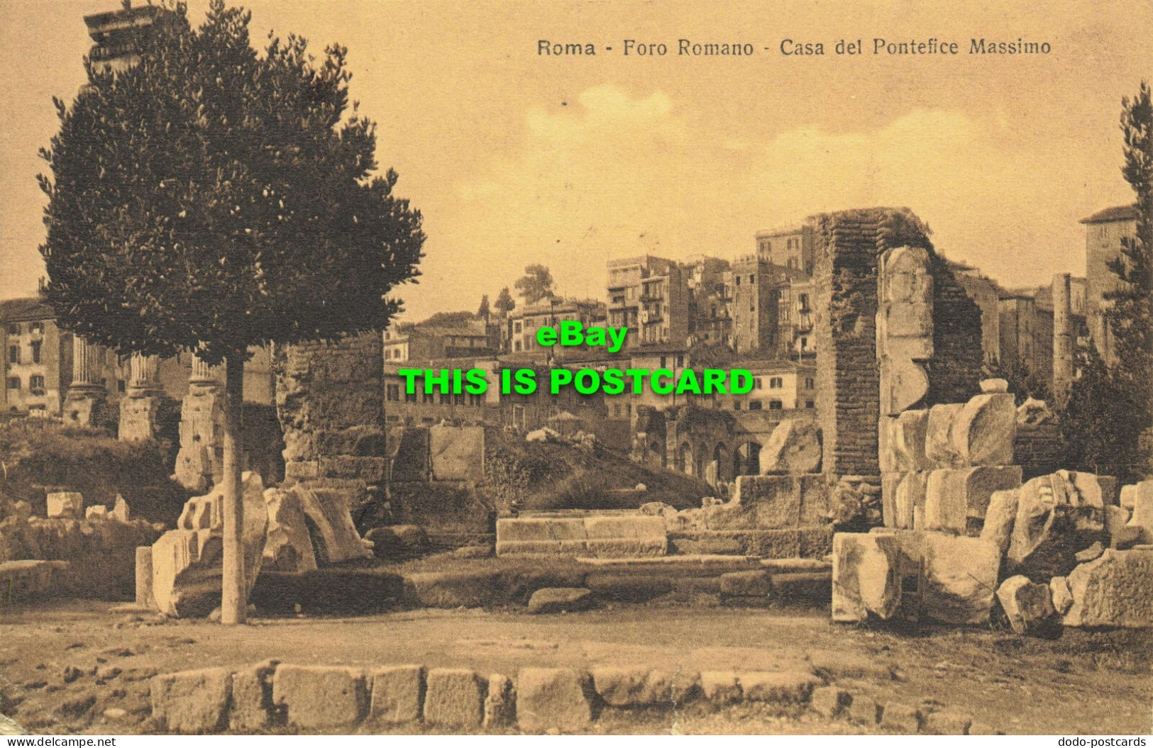 R595784 Roma. Foro Romano. Casa Del Pontefice Massimo. Fototipia Alterocca Terni - Wereld