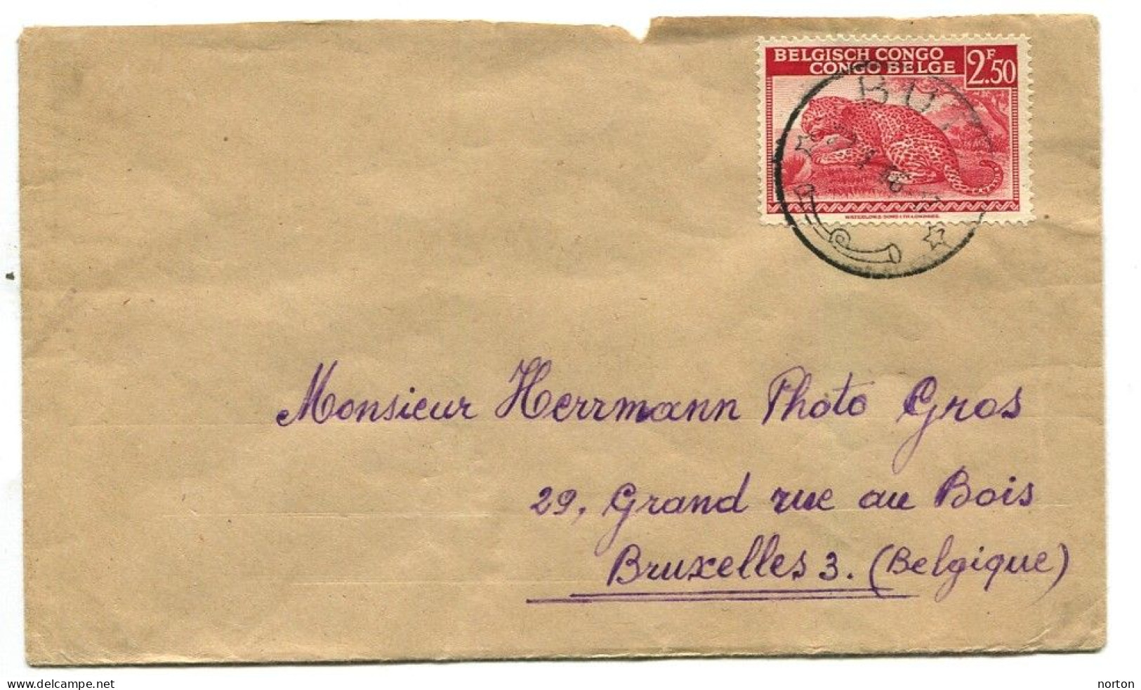 Congo Buta Oblit. Keach 8B2 Sur C.O.B. 241 Sur Lettre Vers Bruxelles Le 23/01/1946 - Briefe U. Dokumente