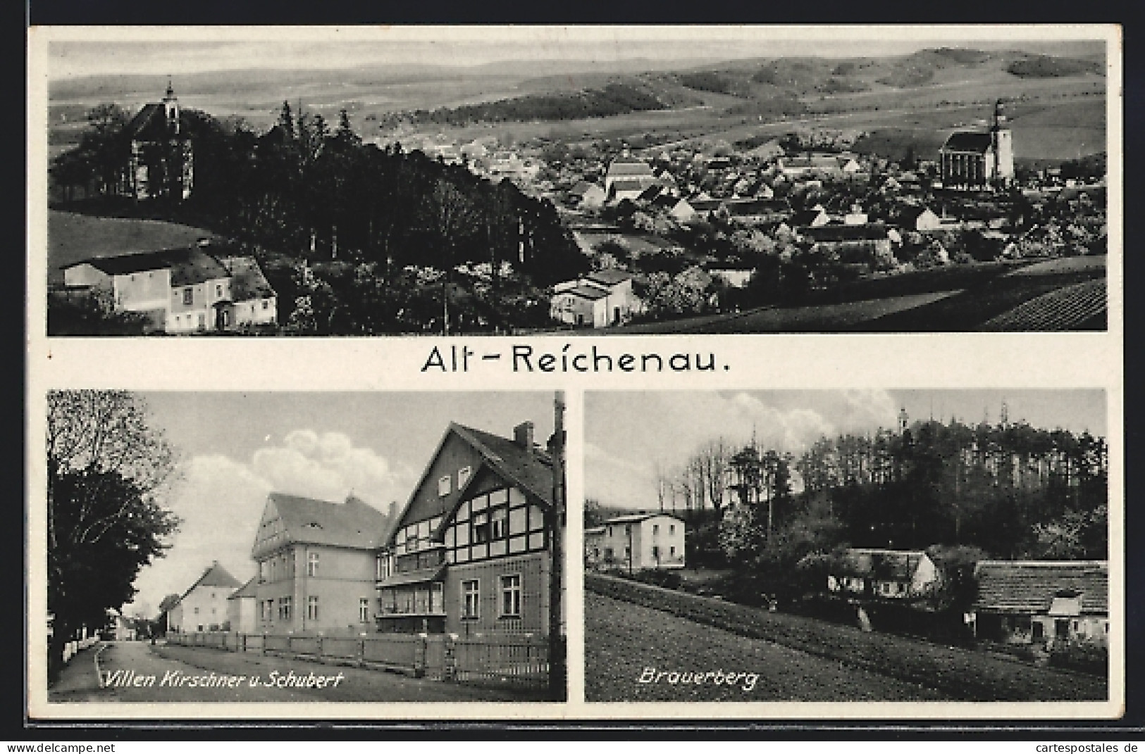 AK Alt-Reichenau, Villen Kirschner U. Schubert, Brauerberg  - Schlesien