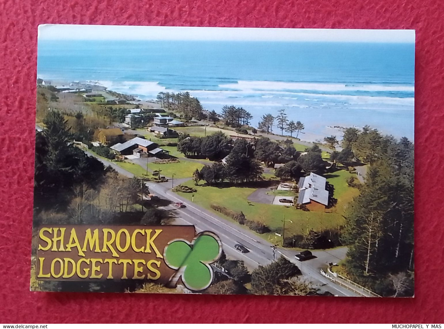 POSTAL POST CARD THE SHAMROCK LODGETTES ARE LOCATED ON HWY. 101 ON THE CENTRAL OREGON COAST USA..YACHATS BAY MOTEL UNITS - Sonstige & Ohne Zuordnung