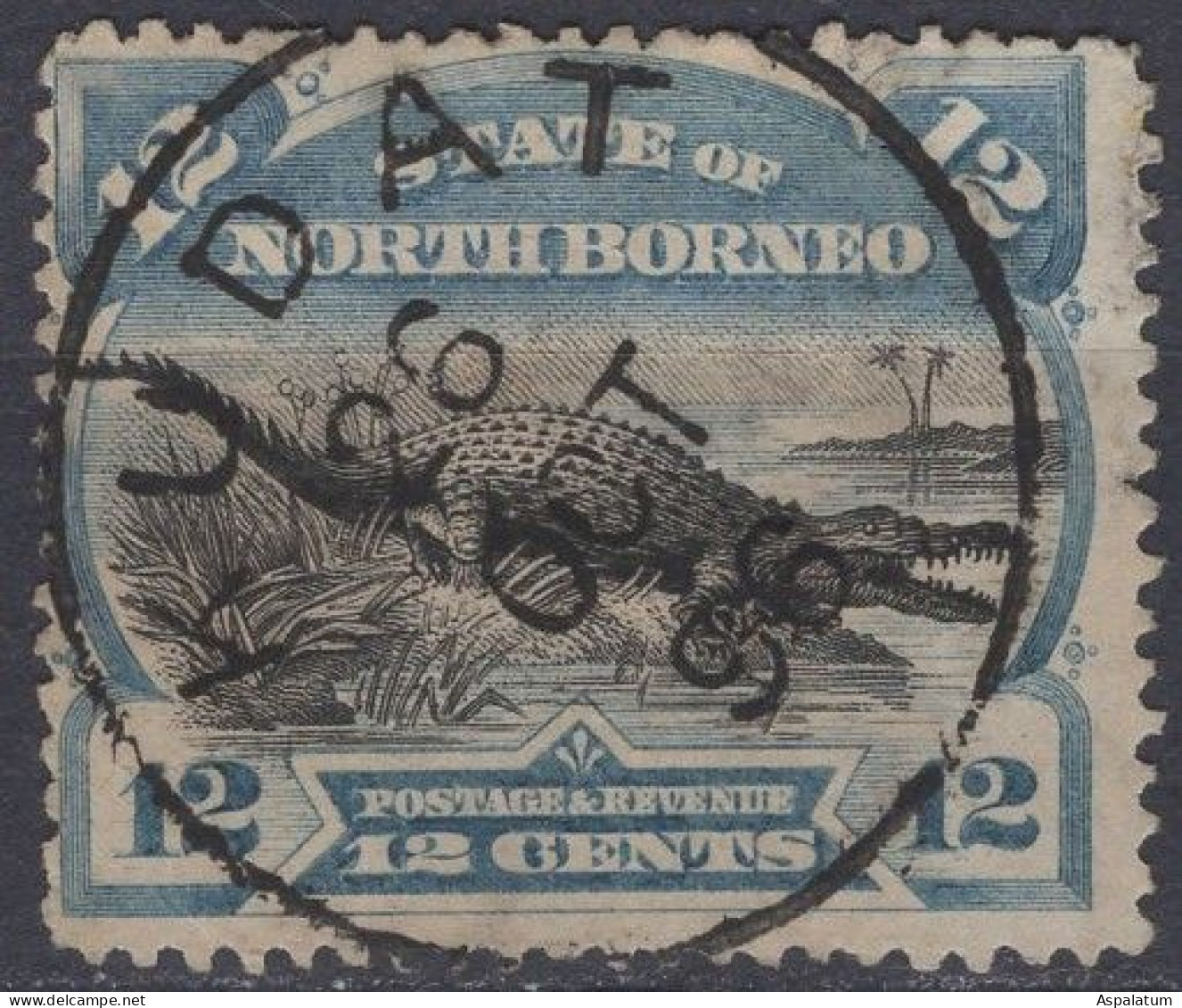 North Borneo - Definitive - 12 C - Saltwater Crocodile - Mi 55 - 1894 - Noord Borneo (...-1963)