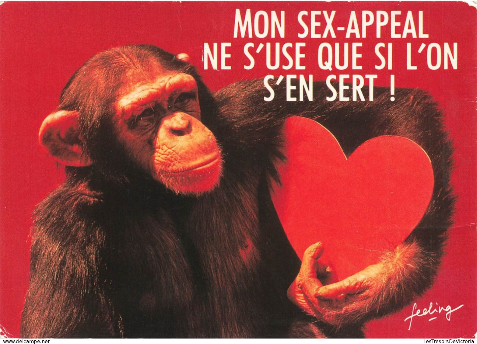 HUMOUR - Mon Sex-appeal Ne S'use Que Si L'on S'en Sert - Carte Postale - Humour