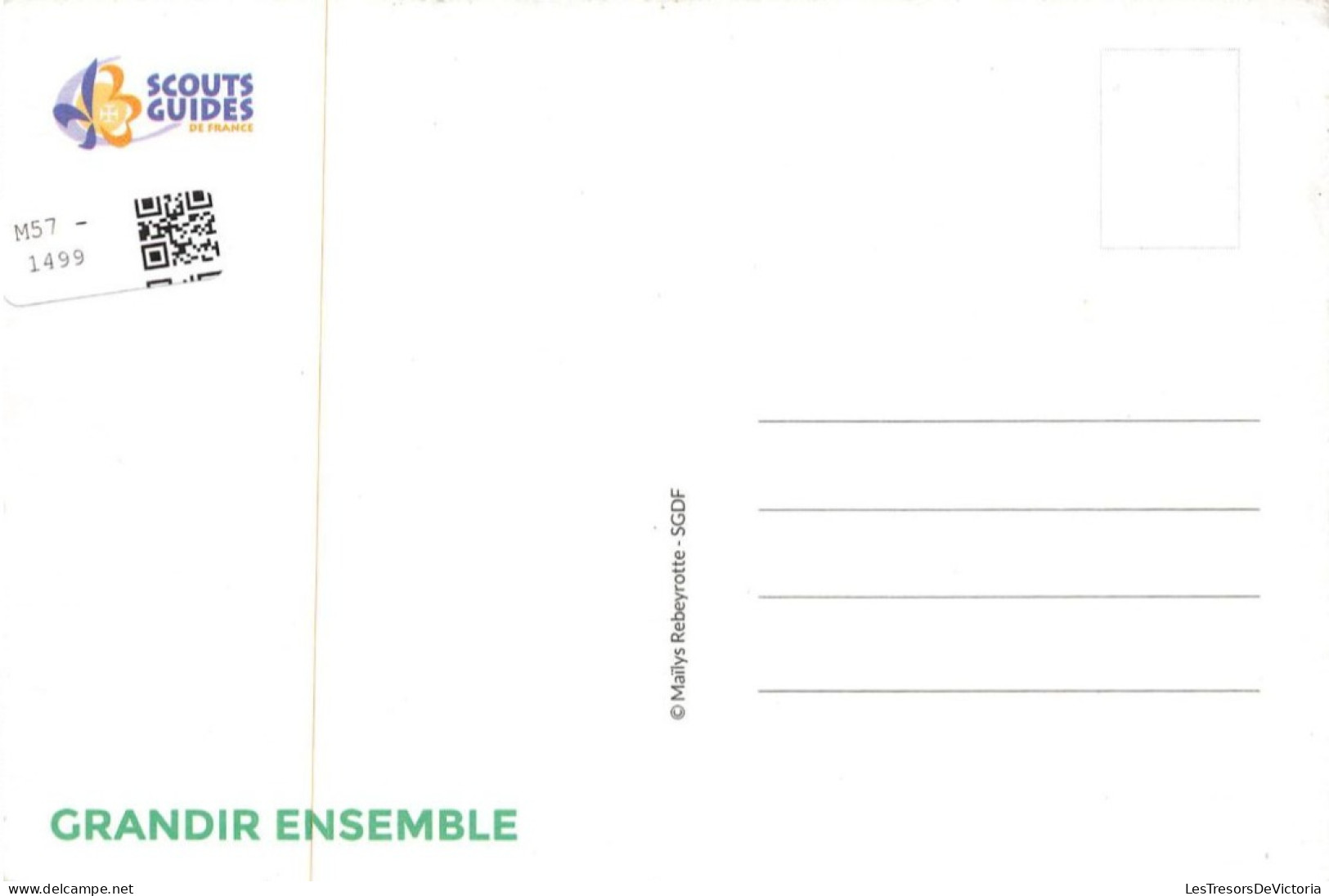 SCOUTISME - Scout - Fille - Grandir Ensemble - Colorisé - Carte Postale - Scouting