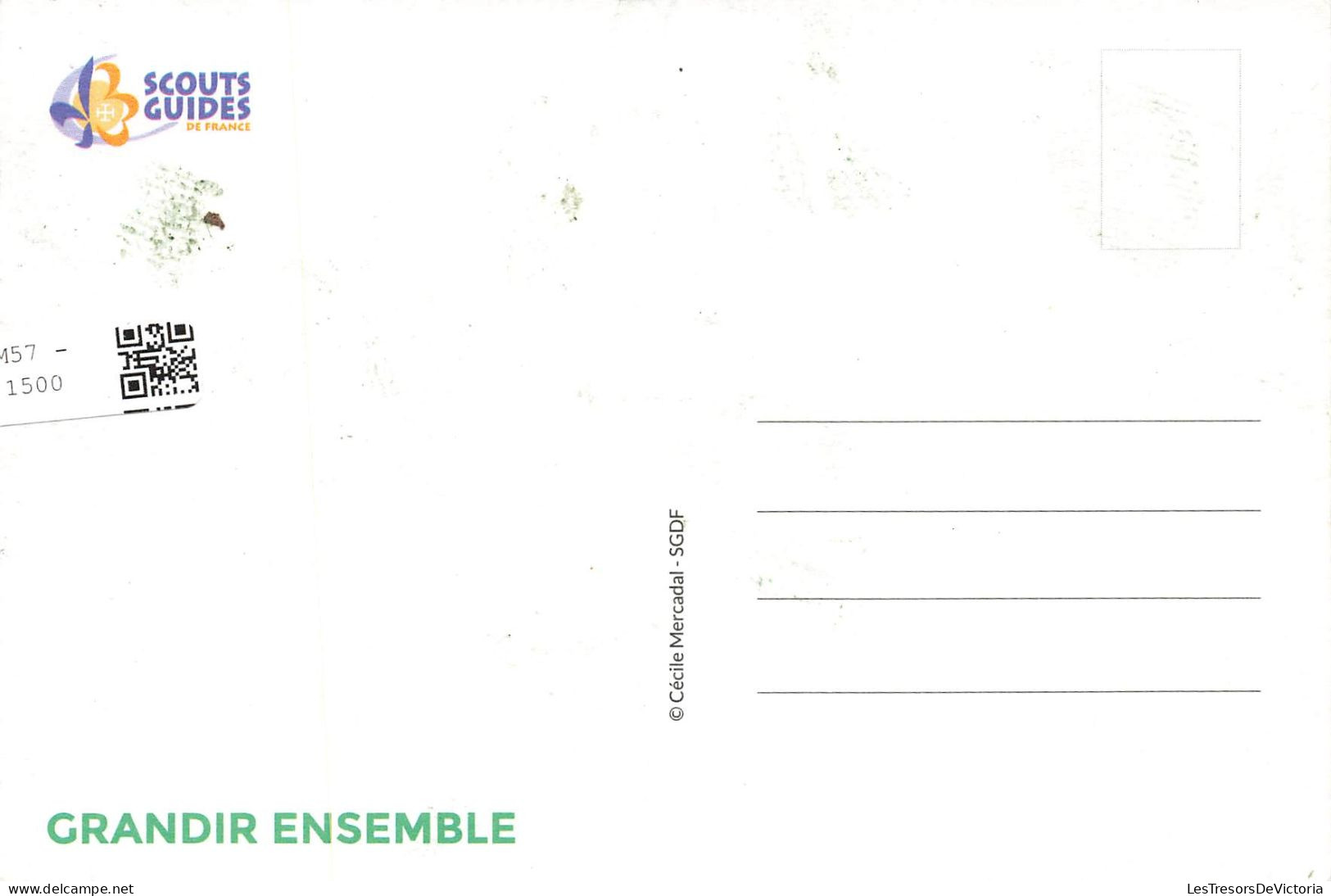 SCOUTISME - Scouts - Feu De Camp - Grandir Ensemble - Colorisé - Carte Postale - Padvinderij