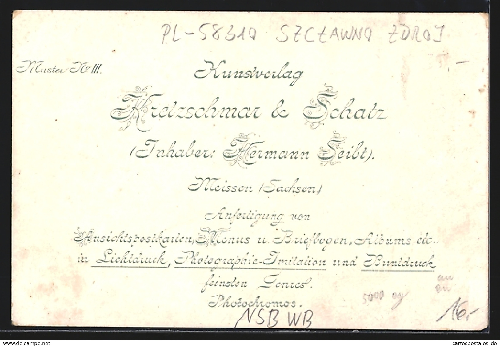 Lithographie Bad Salzbrunn, Gasthaus Schweizer Idahof, Schloss Fürstenstein, Neue Elisenhalle  - Schlesien