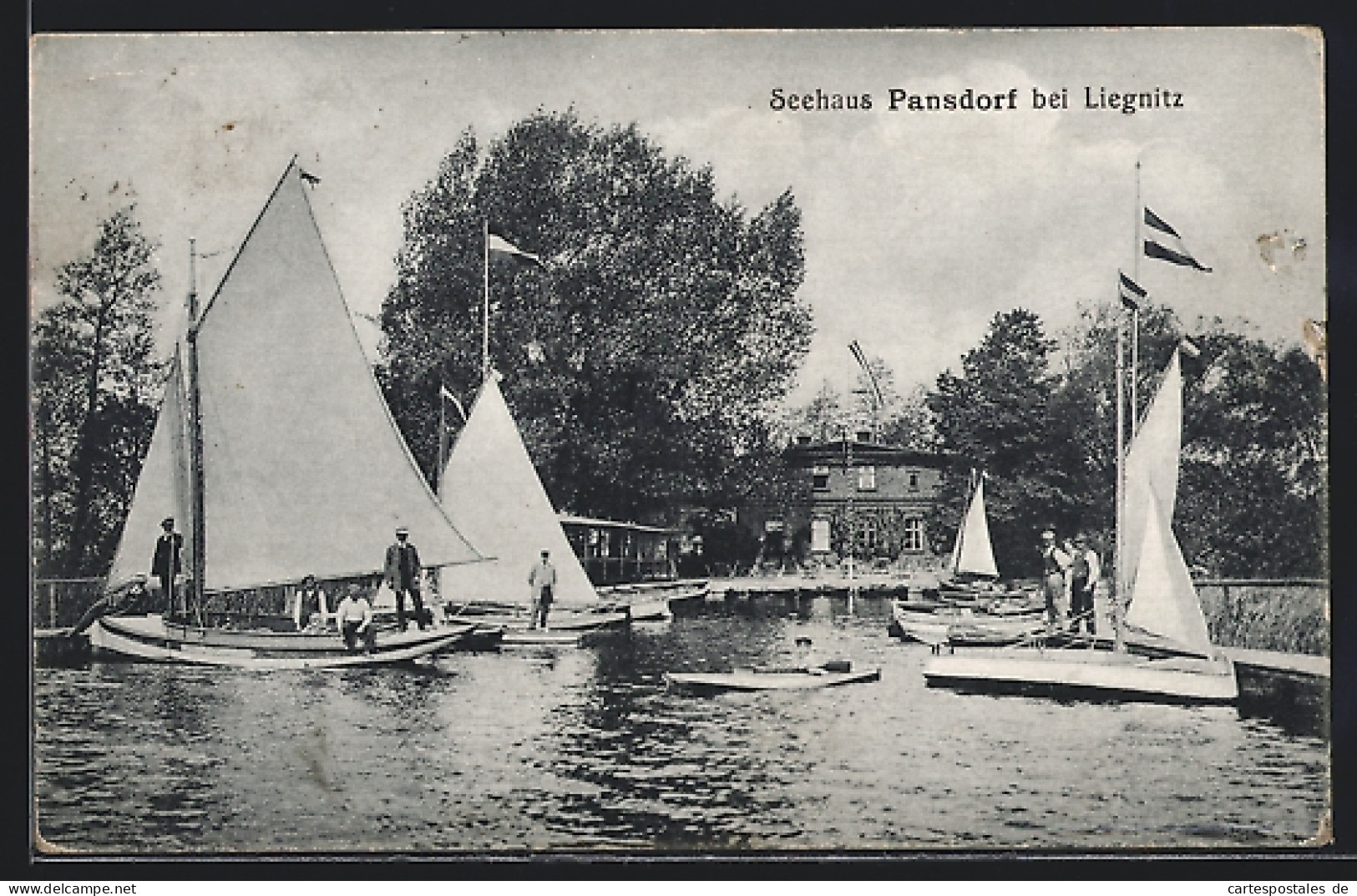 AK Liegnitz, Segelschiffe Am Seehaus Pansdorf  - Schlesien