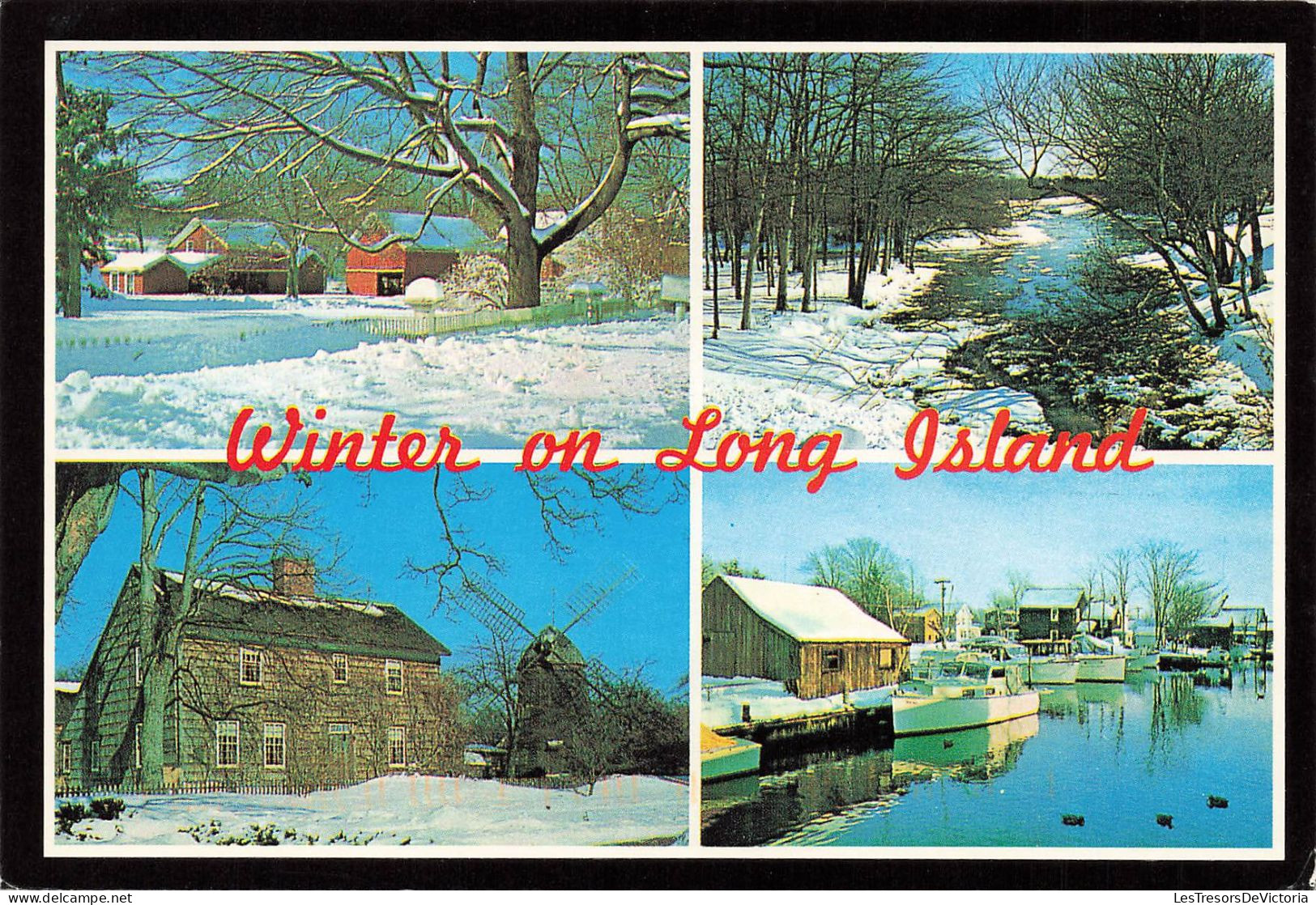 ETATS-UNIS - Winter On Long Island - Nature And Geography Have Combined To Endow Long Island With A Full - Carte Postale - Long Island