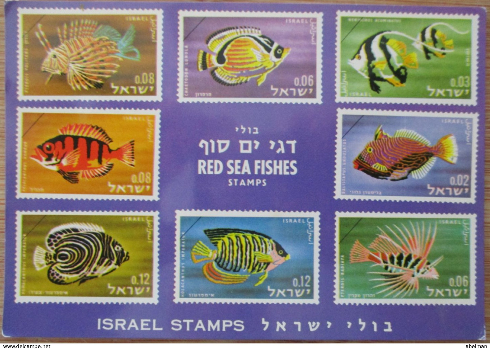 ISRAEL EGYPT EILAT SINAI DESERT RED SEA UNDERWATER OBSERVATORY FISH STAMP POSTCARD PHOTO POST CARD PC STAMP - Israel
