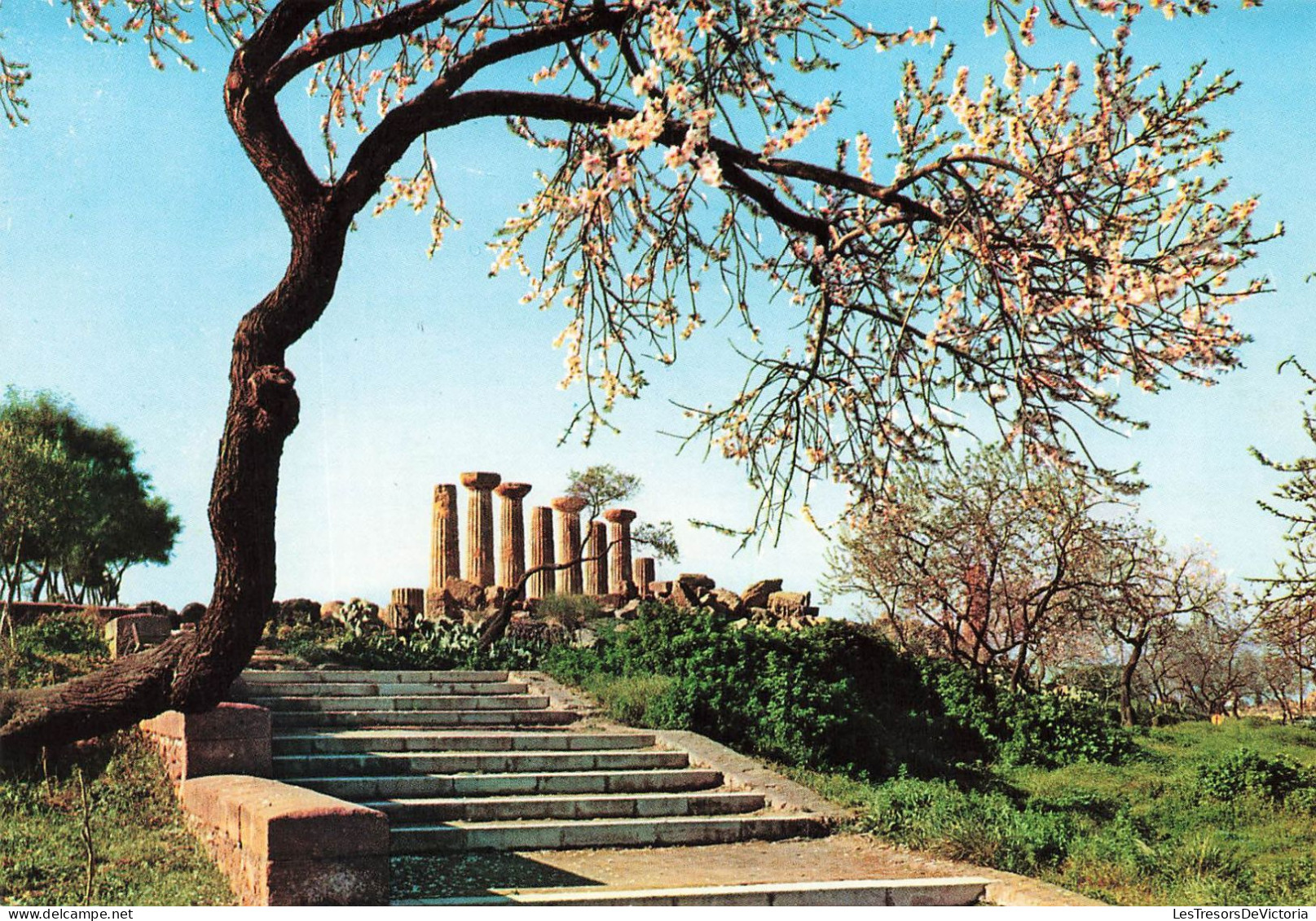 ITALIE - Agrigento - Tempio Di Ercole - Vue Générale - Escalier - I I Tempio A (upposto Di Eracle) - Carte Postale - Agrigento