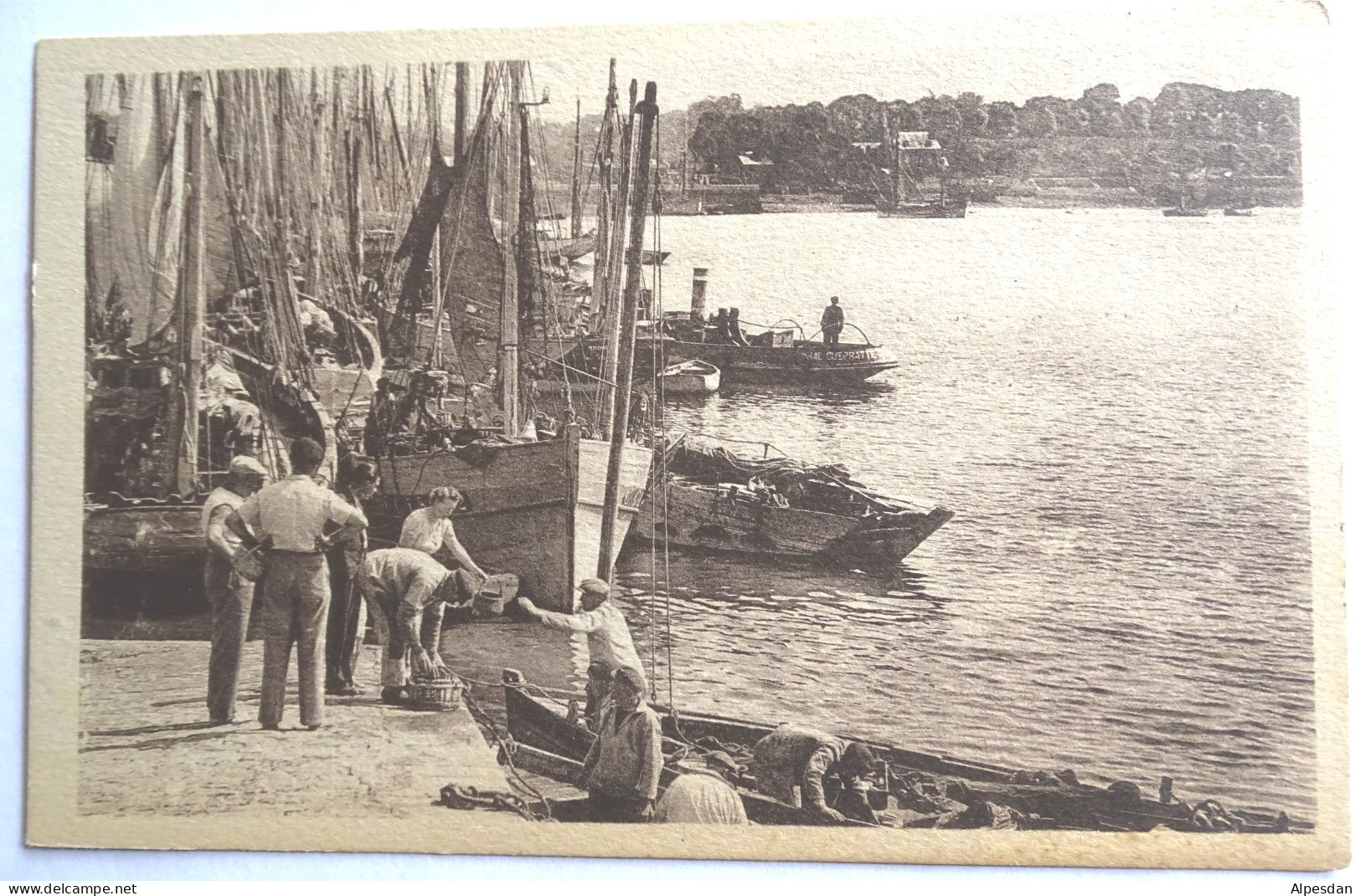 CONCARNEAU. L'arrivée Des Sardines - Concarneau