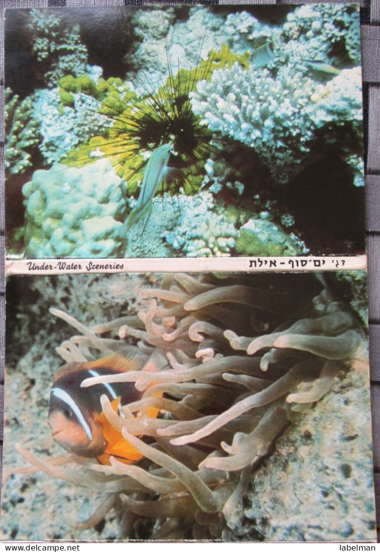 ISRAEL EILAT RED SEA POSTCARD LOT 10 BOOKLET UNDERWATER OBSERVATORY FISH CORAL FOLDER CARTE POSTALE POSTCARD CARTOLINA - Israël