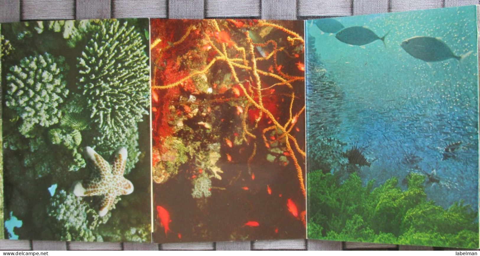 ISRAEL EILAT RED SEA POSTCARD LOT 10 BOOKLET UNDERWATER OBSERVATORY FISH CORAL FOLDER CARTE POSTALE POSTCARD CARTOLINA - Israel