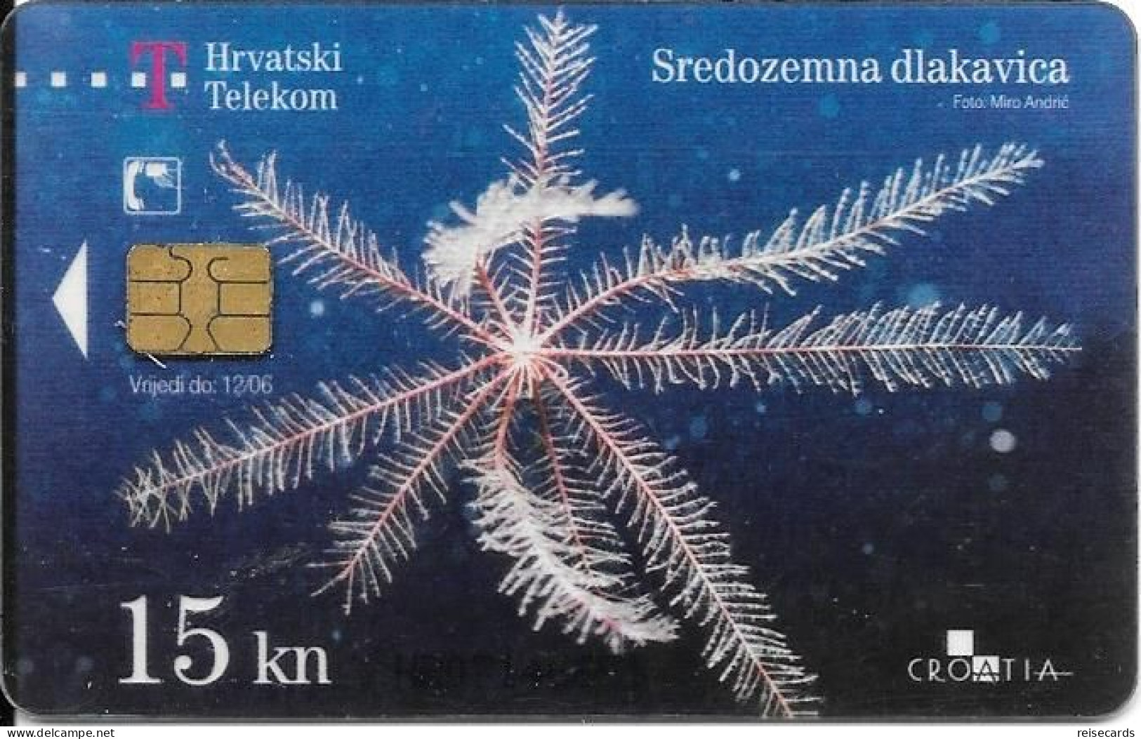 Croatia: Hrvatski Telekom - Underwater World, Sredozemna Dlakavica . Transparent - Kroatië
