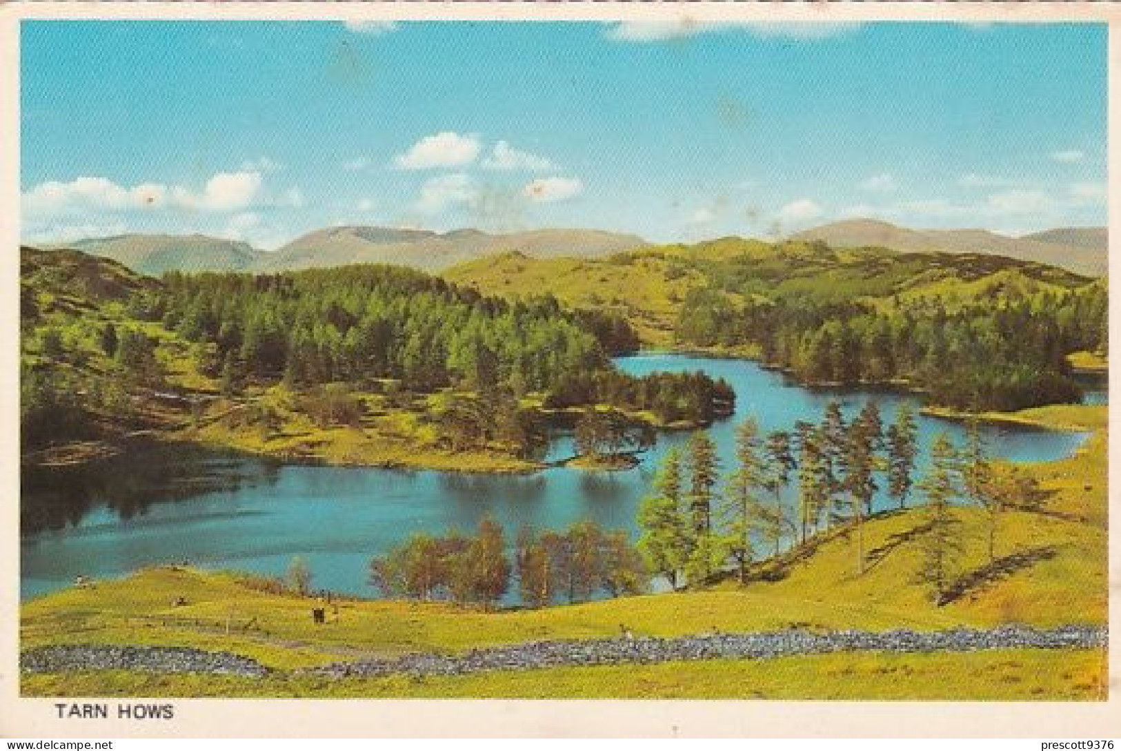 Tarn Howe - Lake District  - Unused Postcard - Lake2 - Windermere