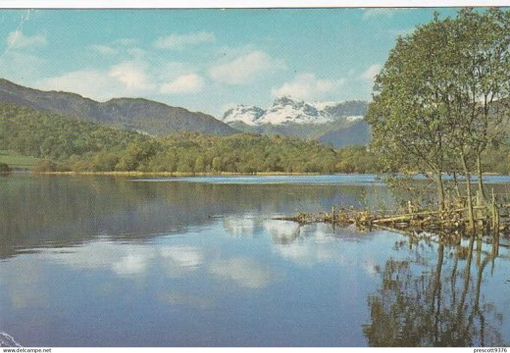 Elterwater & Langdale Pikes - Lake District  - Unused Postcard - Lake2 - Windermere