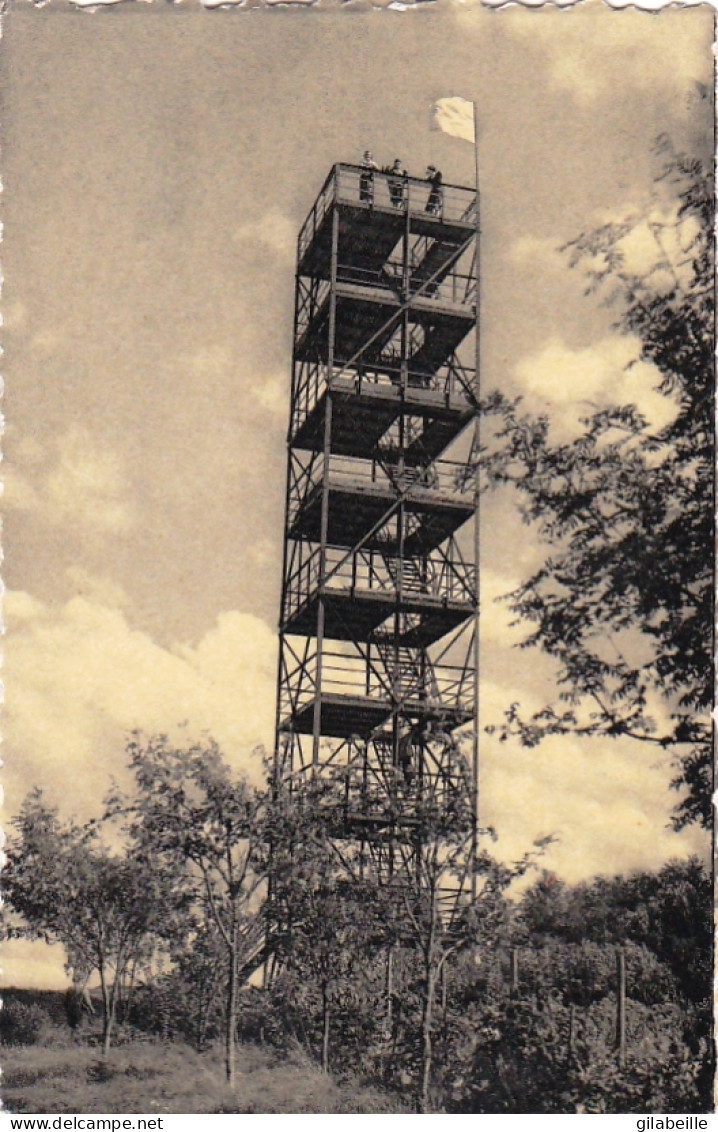 NISRAMONT - ORTHO - Belvedere - Vue Sur Le Herou - Sonstige & Ohne Zuordnung