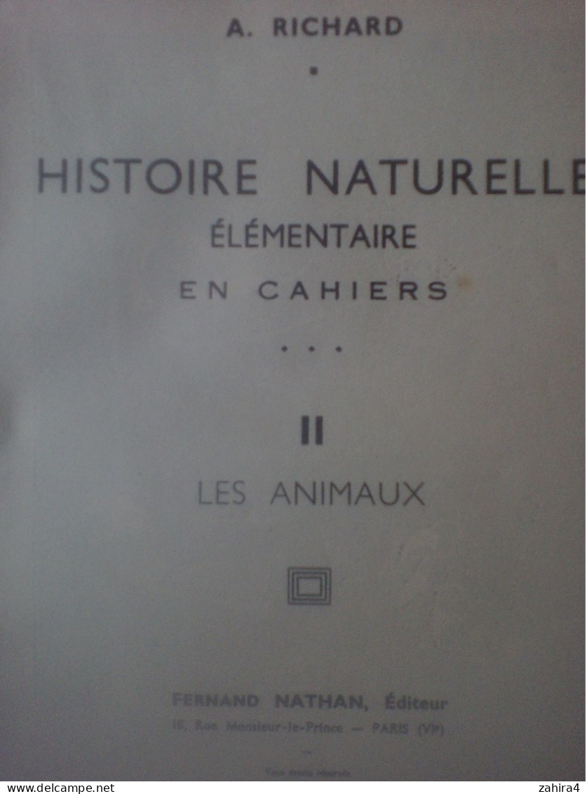 A Richard Histoire Naturelle élémentaire En Cahiers II Les Animaux Fernand Nathan Parischeval Tortue Abeille Ver à Soie - 6-12 Jahre