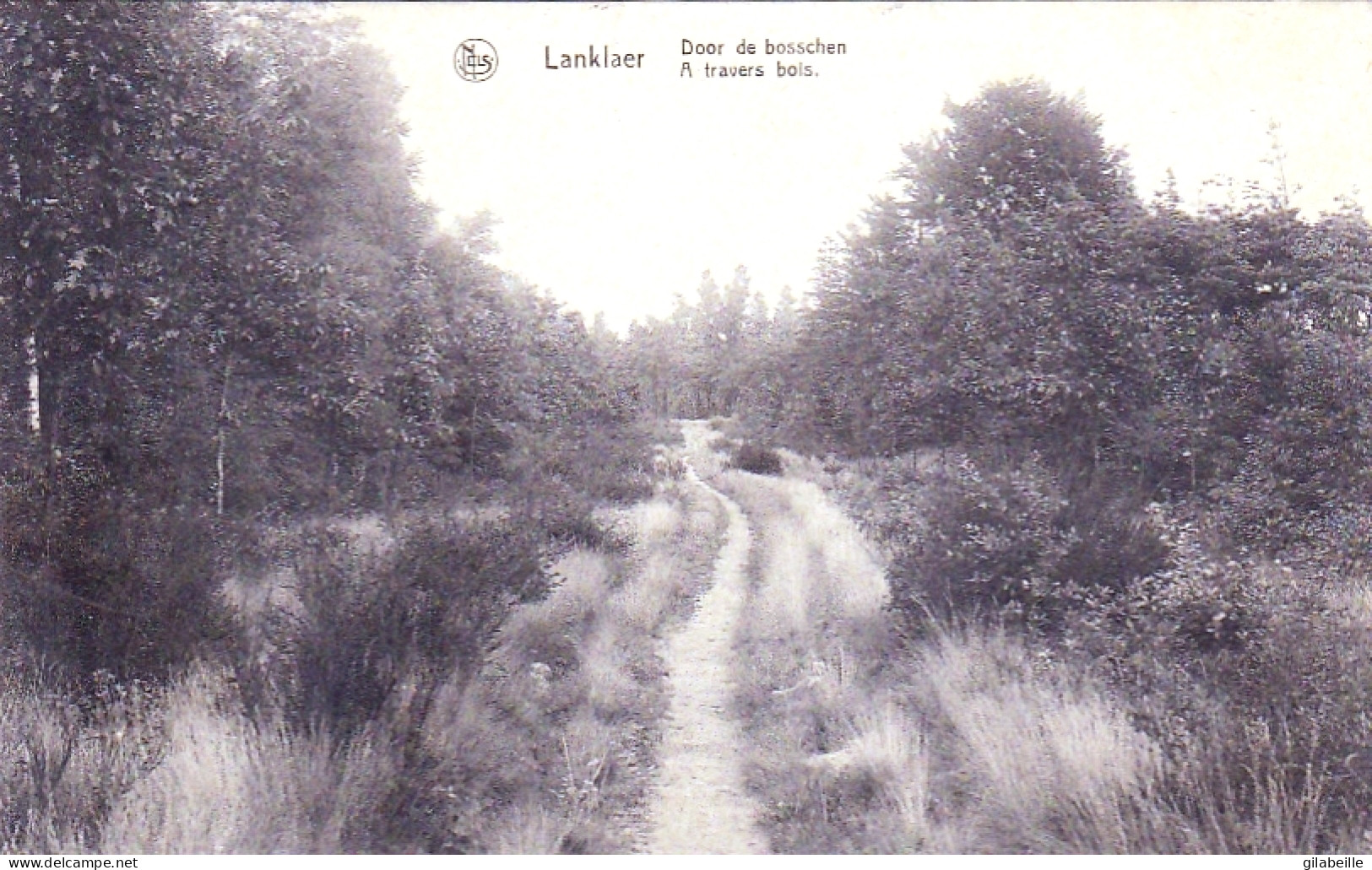 LANKLAER STOCKHEIM - A Travers Bois - Door De Bosschen - Dilsen-Stokkem