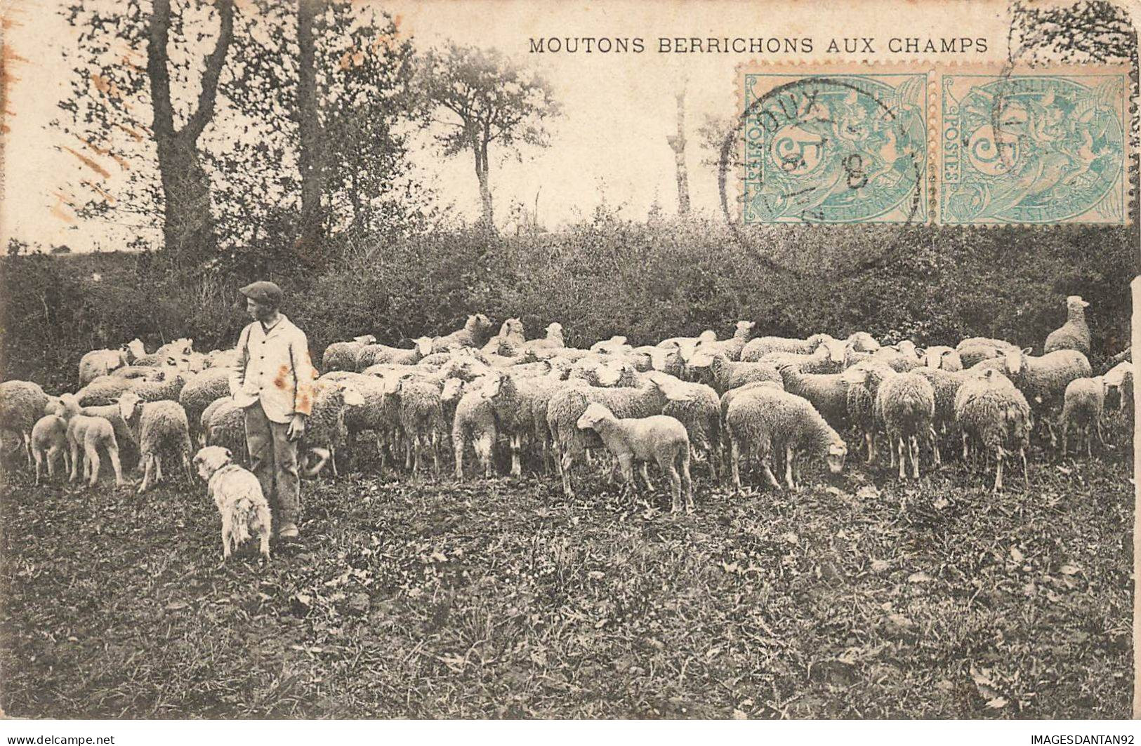 METIERS #MK49035 MOUTONS BERRICHONS AUX CHAMPS - Farmers