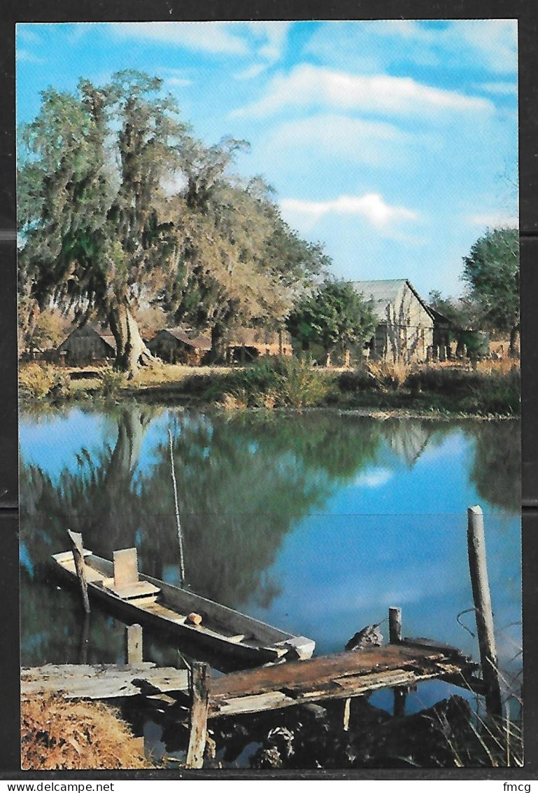 Louisiana, Along The Bayou, Unused. - Sonstige & Ohne Zuordnung