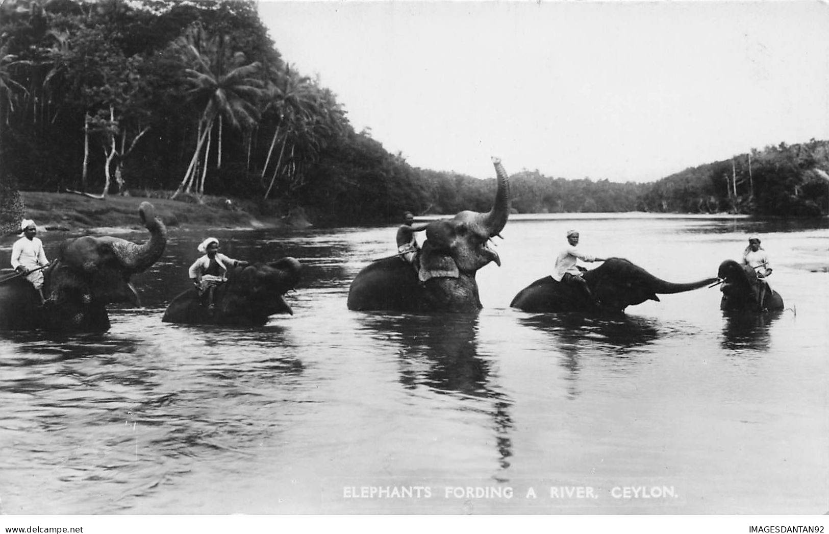 SRI LANKA #MK49064 ELEPHANTS FORDING A RIVER CEYLON - Sri Lanka (Ceylon)