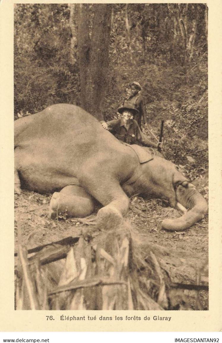 SPORTS #DC51589  CHASSEURS ELEPHANT TUE DANS LES FORETS DE GIARAY VIETNAM - Hunting