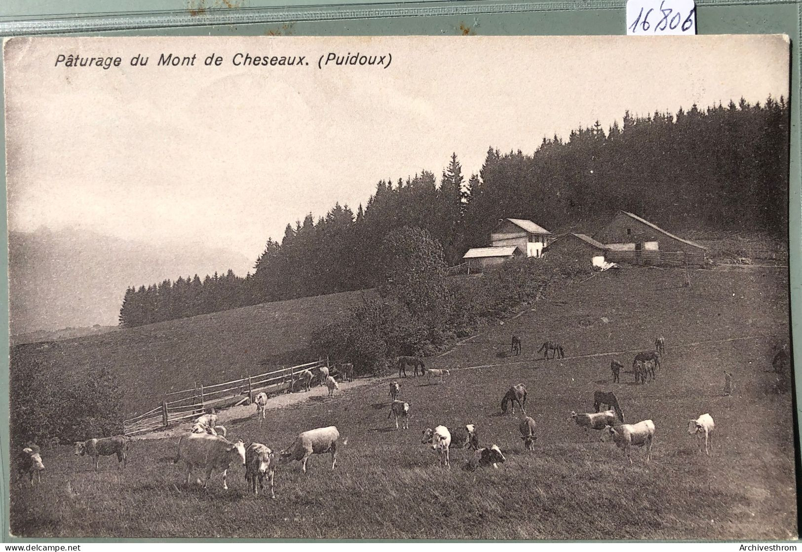 Pâturages Du Mont De Cheseaux (Vaud) Sur Puidoux - Vaches Et Ferme (16'806) - Puidoux