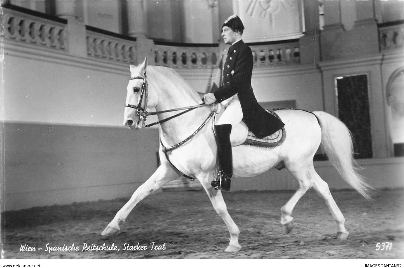 SPORT HIPPISME AB#MK181 WIEN SPANISCHE REITSCHULE CHEVAL BLANC - Horse Show