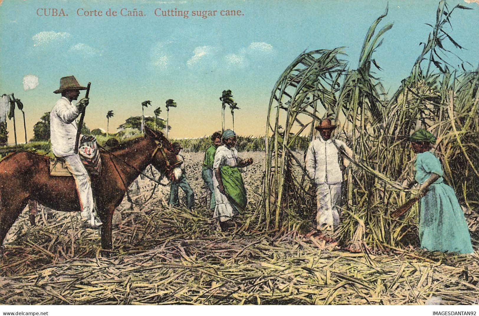 CUBA #MK53230 CORTE DE CANA CUTTING SUGAR CANE - Kuba