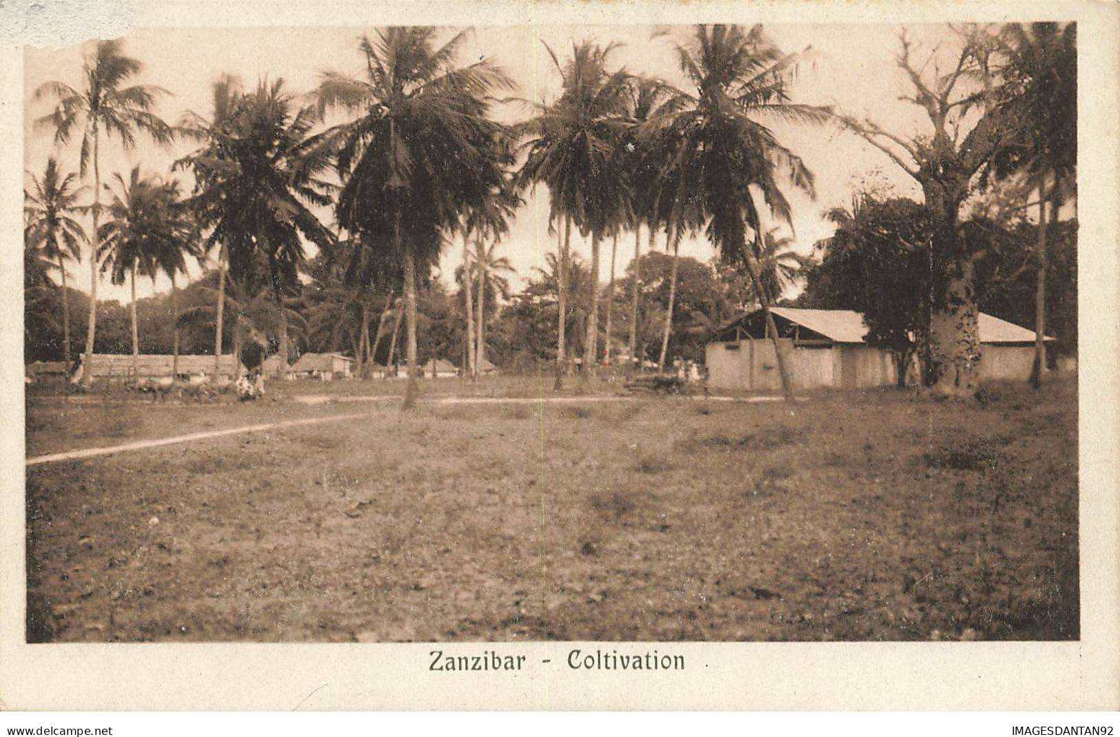 TANZANIE #MK53426 ZANZIBAR COLTIVATION - Tanzania