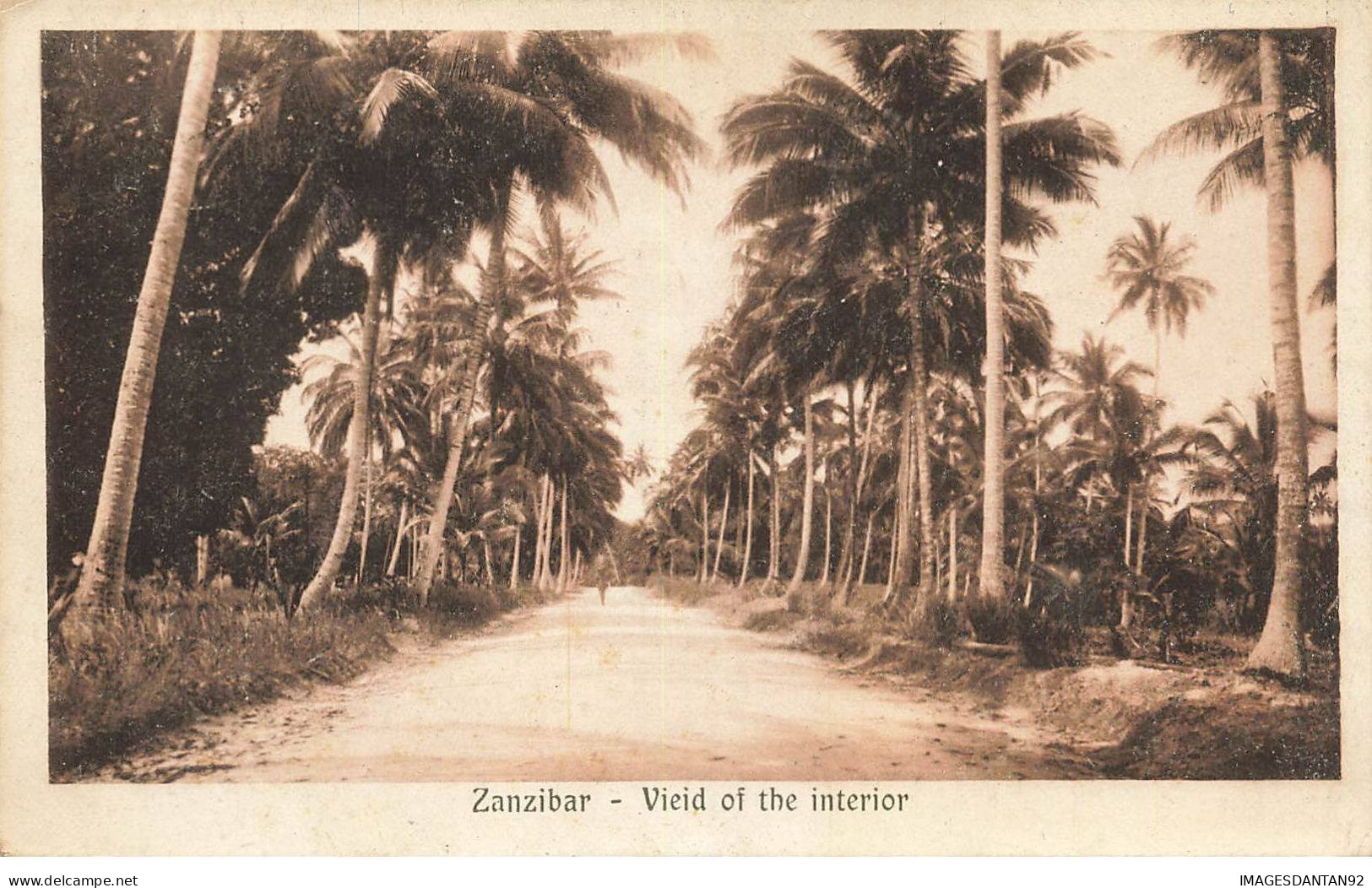 TANZANIE #MK53420 ZANZIBAR VIEID OF THE INTERIOR - Tanzania