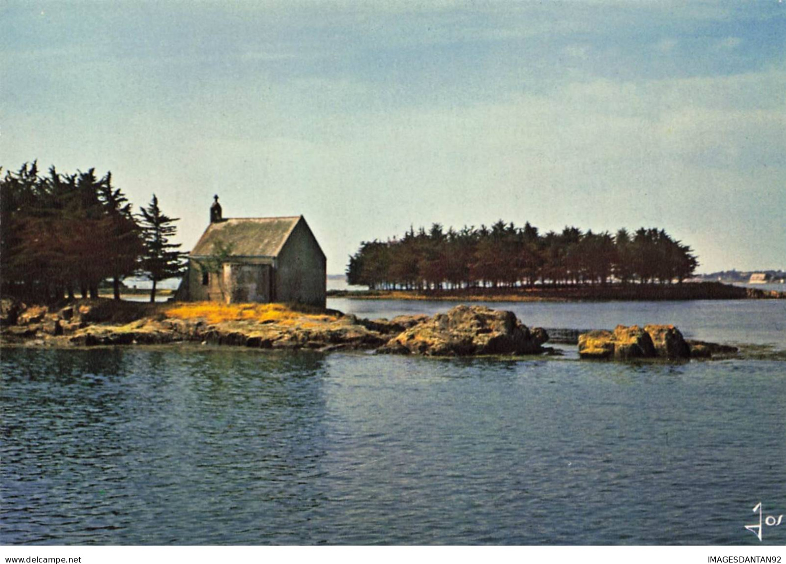 56 MORBIHAN AA#DC732 PETITE CHAPELLE DANS LE GOLFE LA MER ET SES ALENTOURS BOISES - Otros & Sin Clasificación