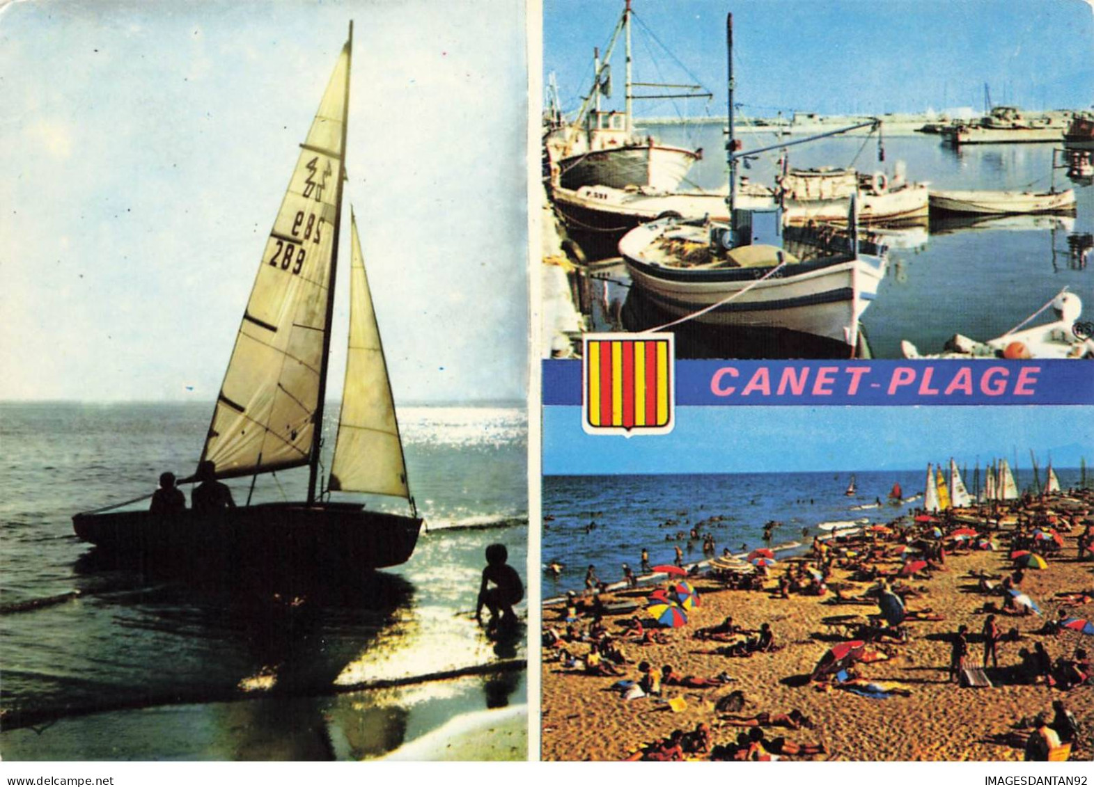 66 CANET PLAGE AA#DC859 LA PLAGE LE PORT LA GRANDE PLAGE ET LES ALBERES - Canet Plage