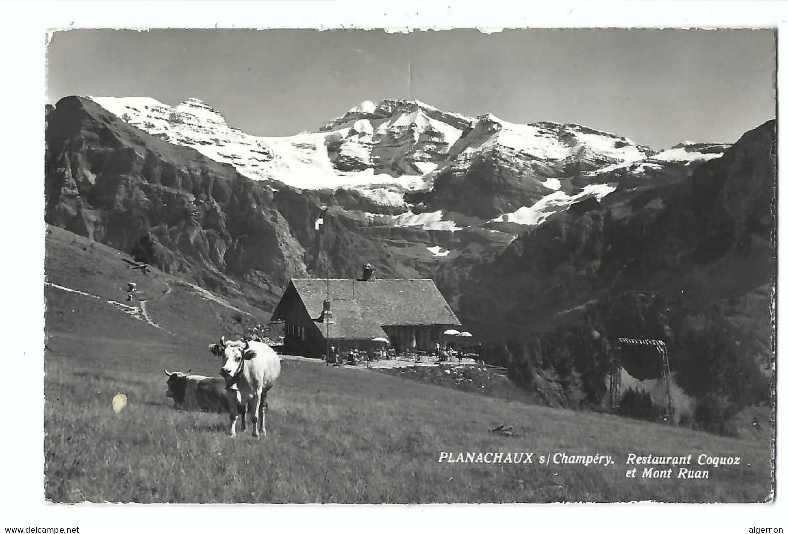 32490 - Planachaux Sur Champéry Restaurant Coquoz - Champéry