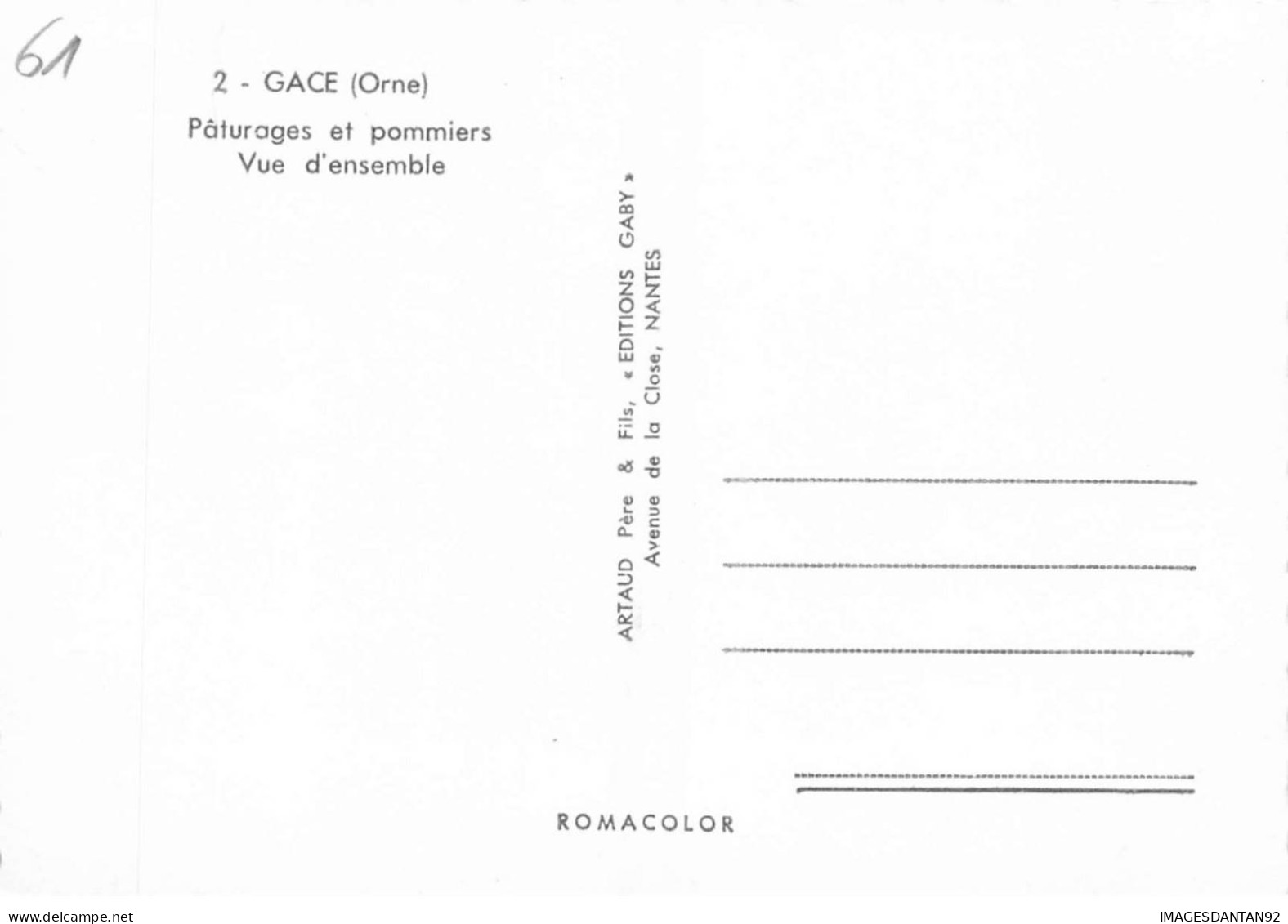 61 GACE AE#DC453 PATURAGES ET POMMIERS VUE GENERALE - Gace