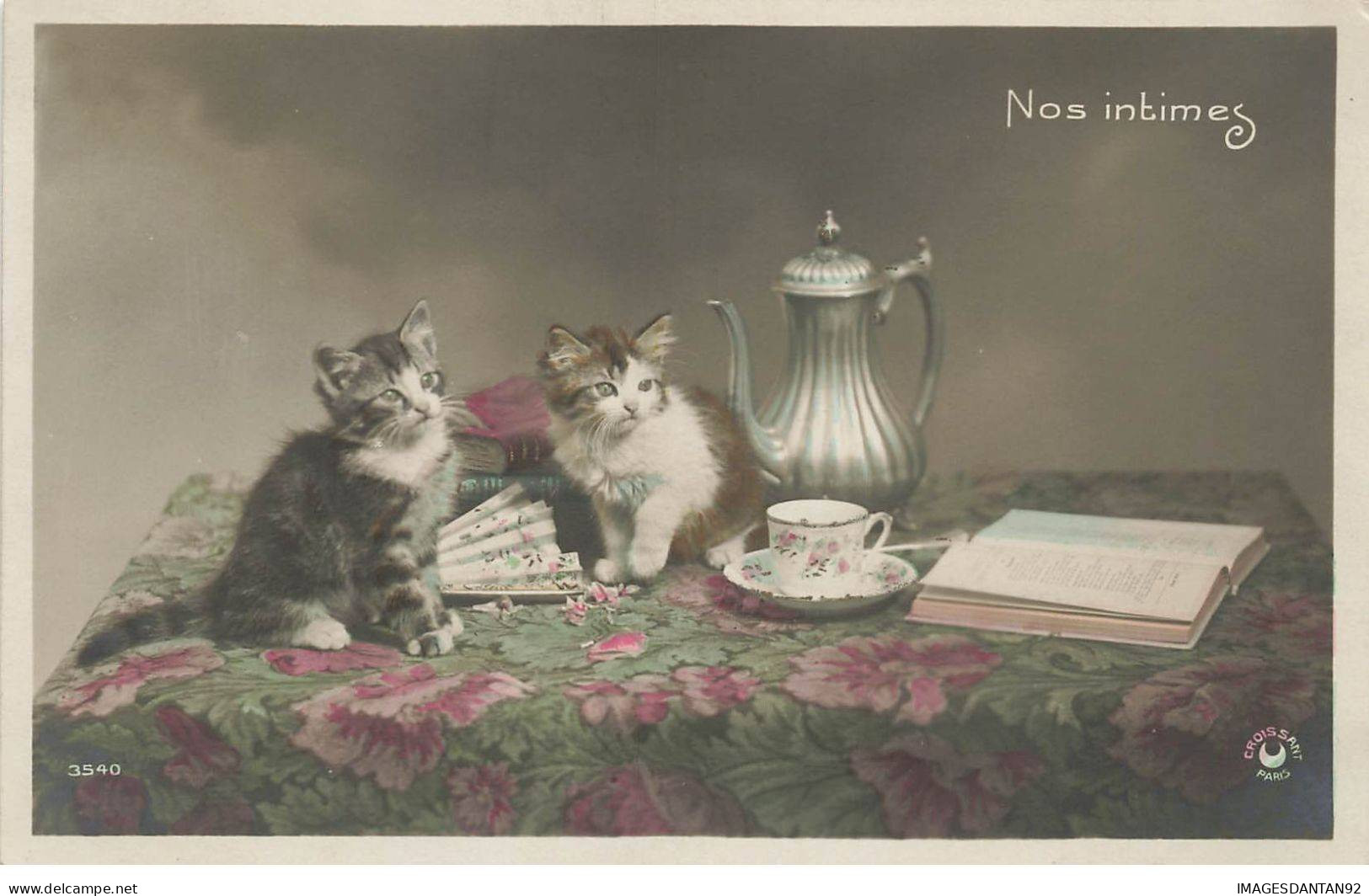 CHATS AG#MK032 NOS INTIMES DEUX CHATONS THEIERE TASSE A CAFE EVENTAIL - Gatos