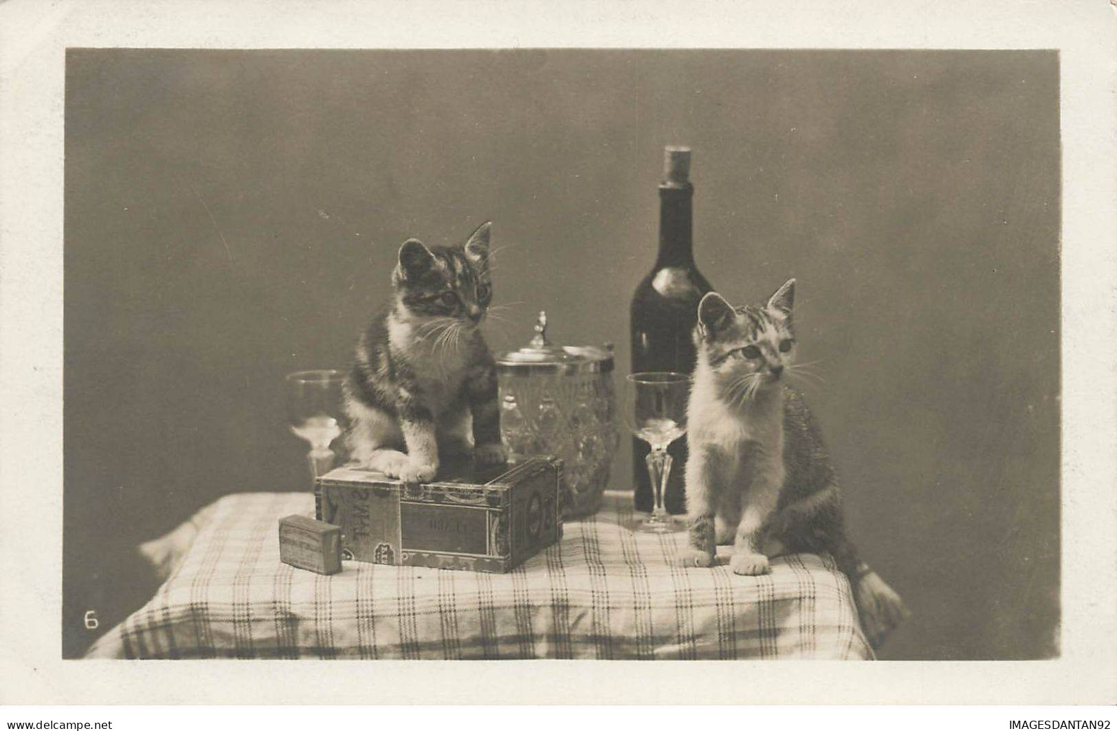 CHATS AG#MK019 DEUX CHATS SUR UNE TABLE BOUTEILLE DE VIN - Cats