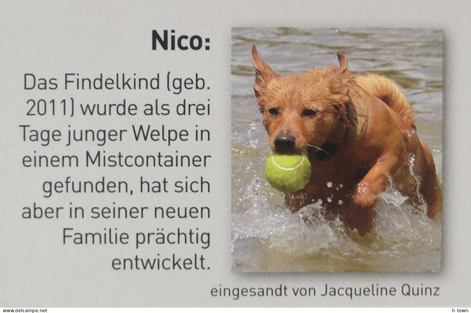 335  Chiens: carnet de timbres pers. d'Autriche - Dogs: booklet of "Personalized" Stamps from Austria. Tennis Ball