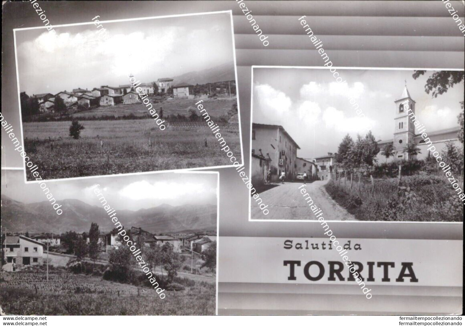 Ba721 Cartolina Saluti Da Torrita Provincia Di  Rieti Lazio - Rieti