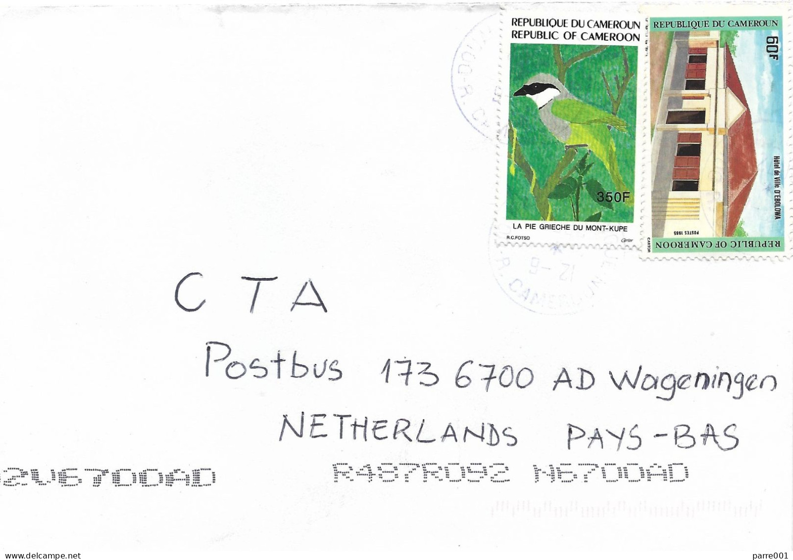 Cameroun Cameroon 2003 Douala Mt Kupe Shrike 350f Townhall Ebolowa Cover - Pájaros Cantores (Passeri)