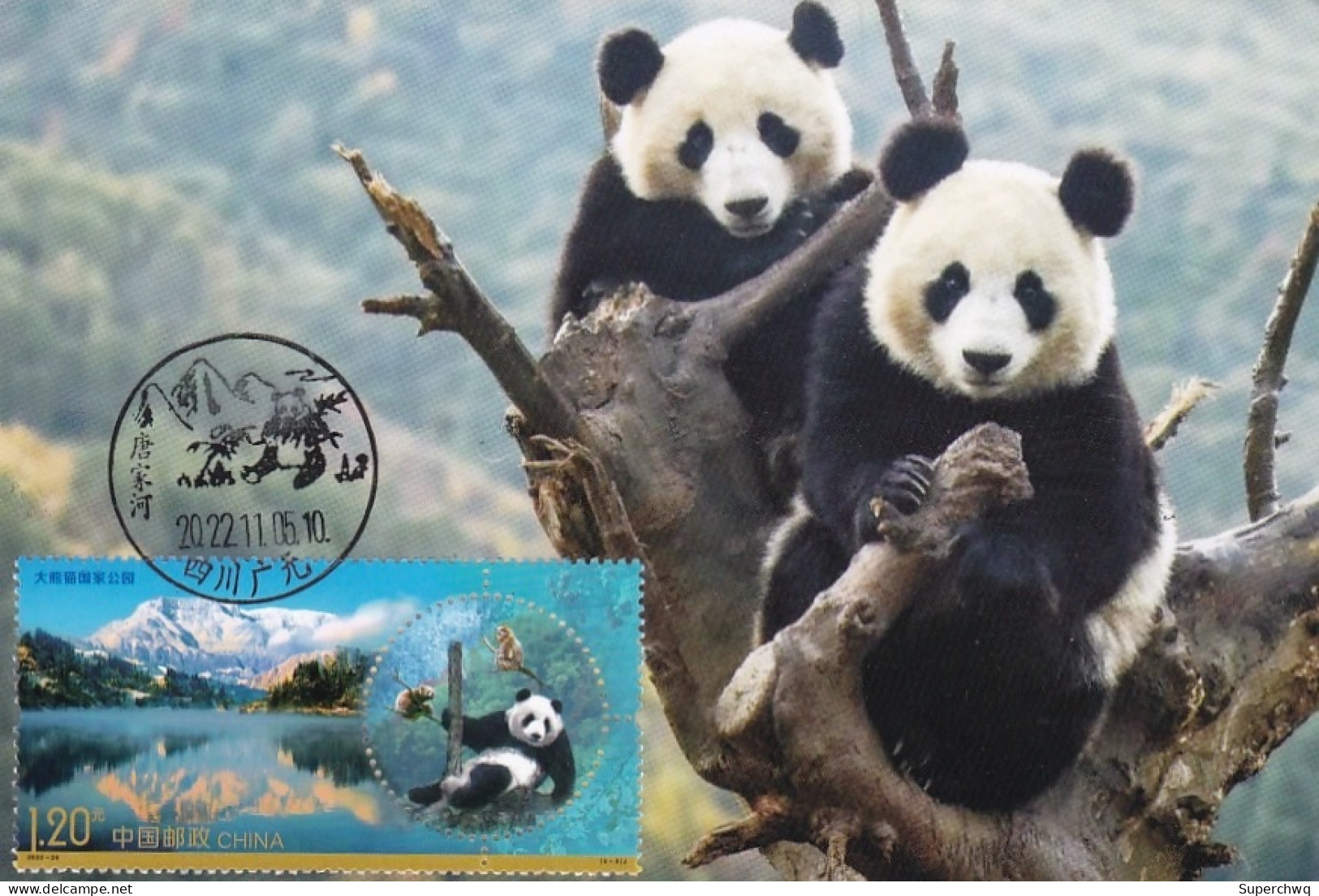 China Maximum Card 2022-26 Giant Panda National Park, Guangyuan Tangjiahe Panda Scenic Spot - Maximumkarten