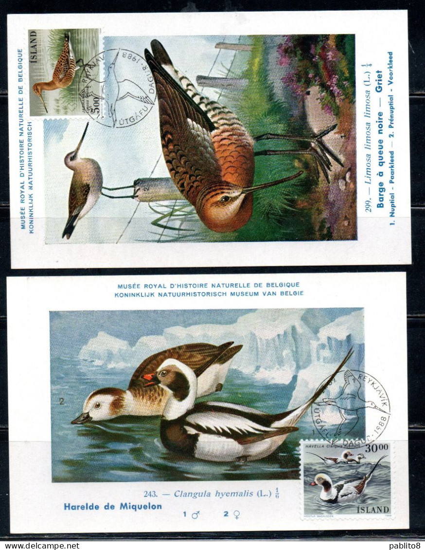 ISLANDA ICELAND ISLANDE ISLAND 1988 BIRD FAUNA BIRDS LIMOSA + CLANGULA HYEMALIS COMPLETE SET SERIE MAXI MAXIMUM CARD - Gebruikt