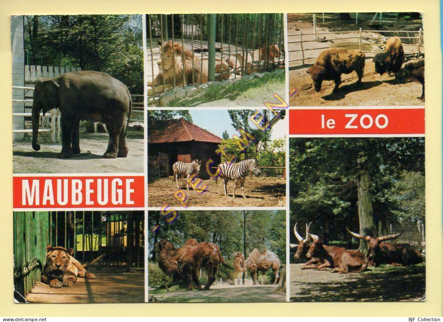 59. MAUBEUGE – Le Zoo – Multivues (Éléphant, Zèbre, Lion, Etc...) - Maubeuge