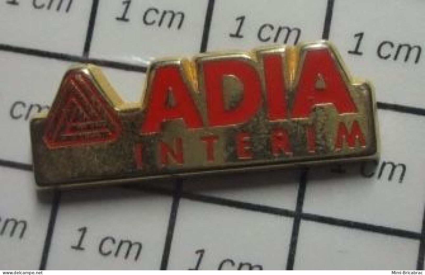 810D Pin's Pins / Beau Et Rare / MARQUES / TRAVAIL TEMPORAIRE ADIA INTERIM Par  COURTOIS - Markennamen