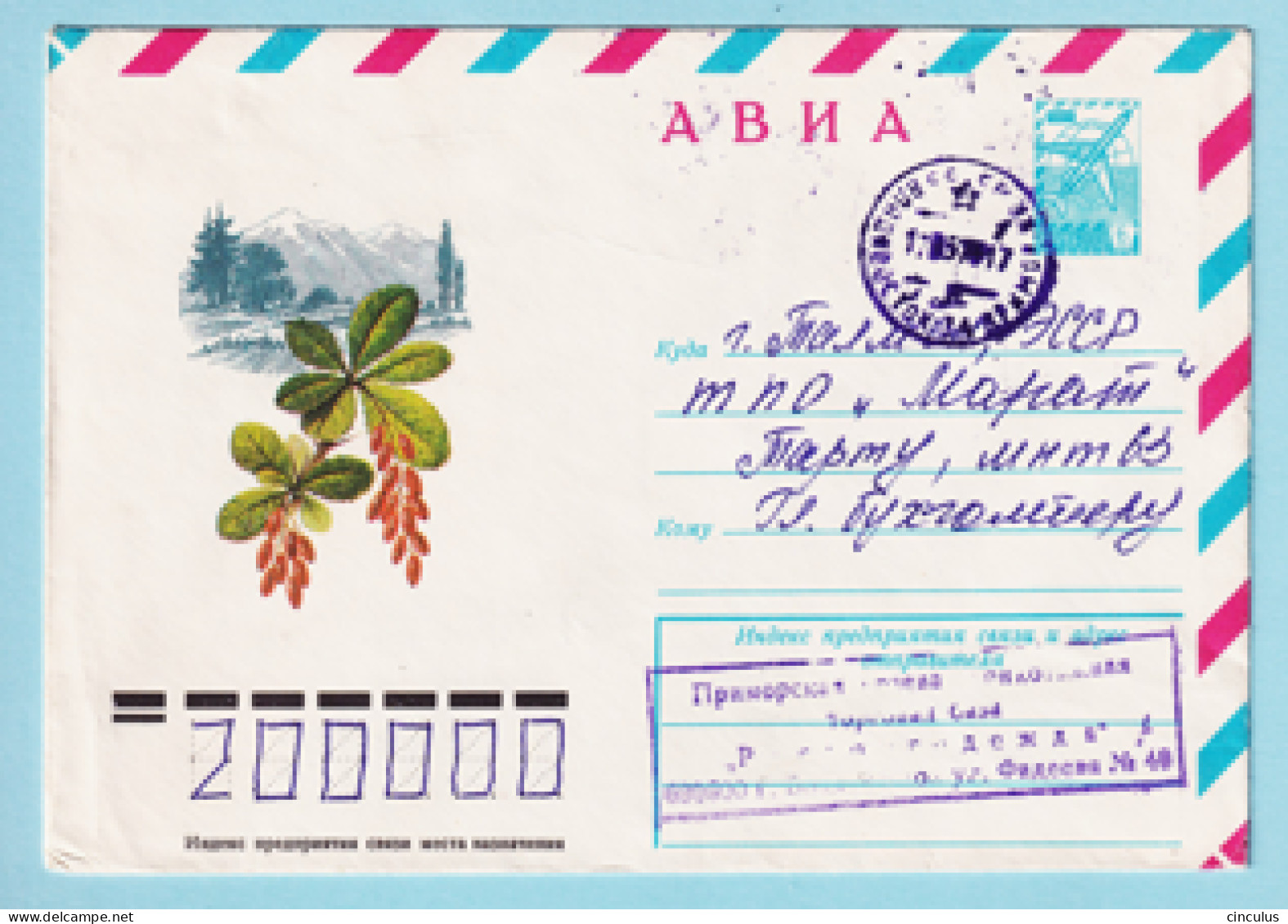 USSR 1978.0411. Barberry (Berberis). Prestamped Cover, Used - 1970-79
