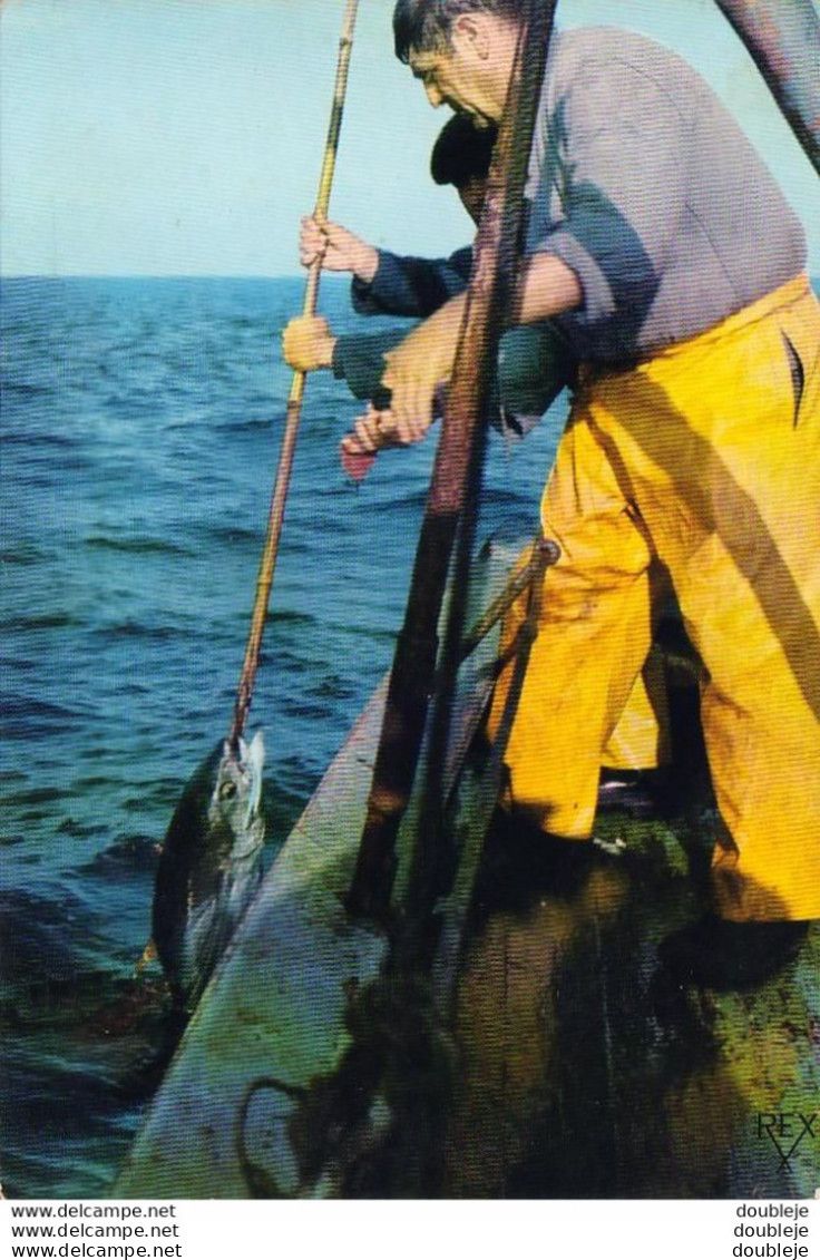 D64  SAINT JEAN DE LUZ    Au Large La Pêche Au Thon - Visvangst