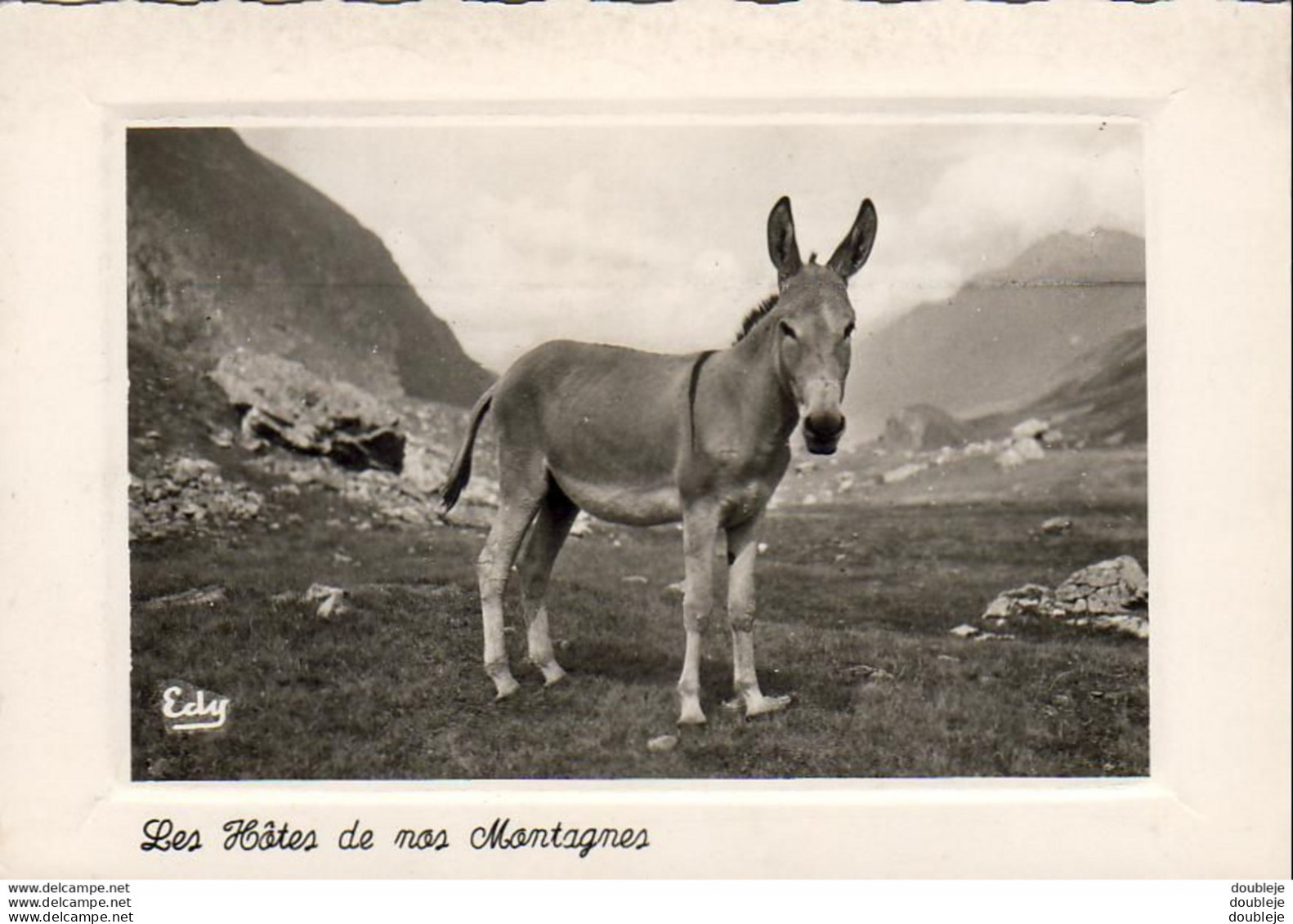 D65  MAITRE ALIBORON  Les Hôtes De Nos Montagnes   ..... - Donkeys