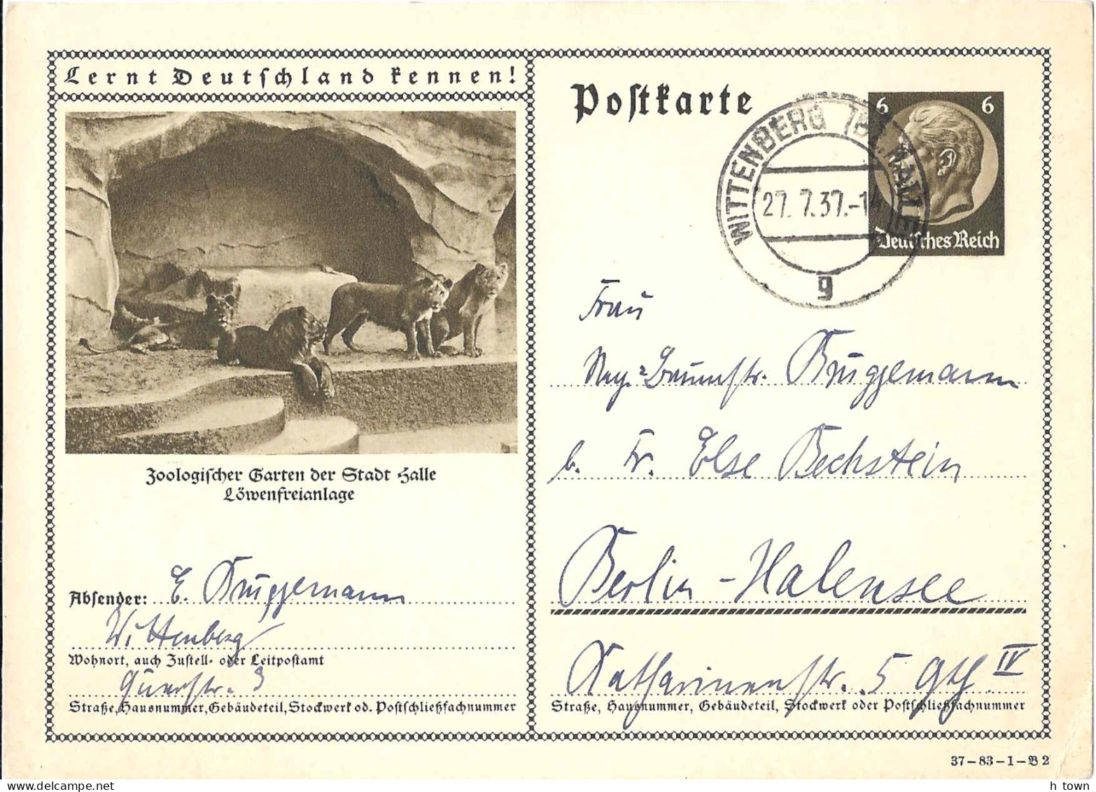 333  Lion: Entier (c.p.) D'Allemagne, 1937 - Zoo Halle, Lions: Stationery Postcard From The German Reichy - Felinos
