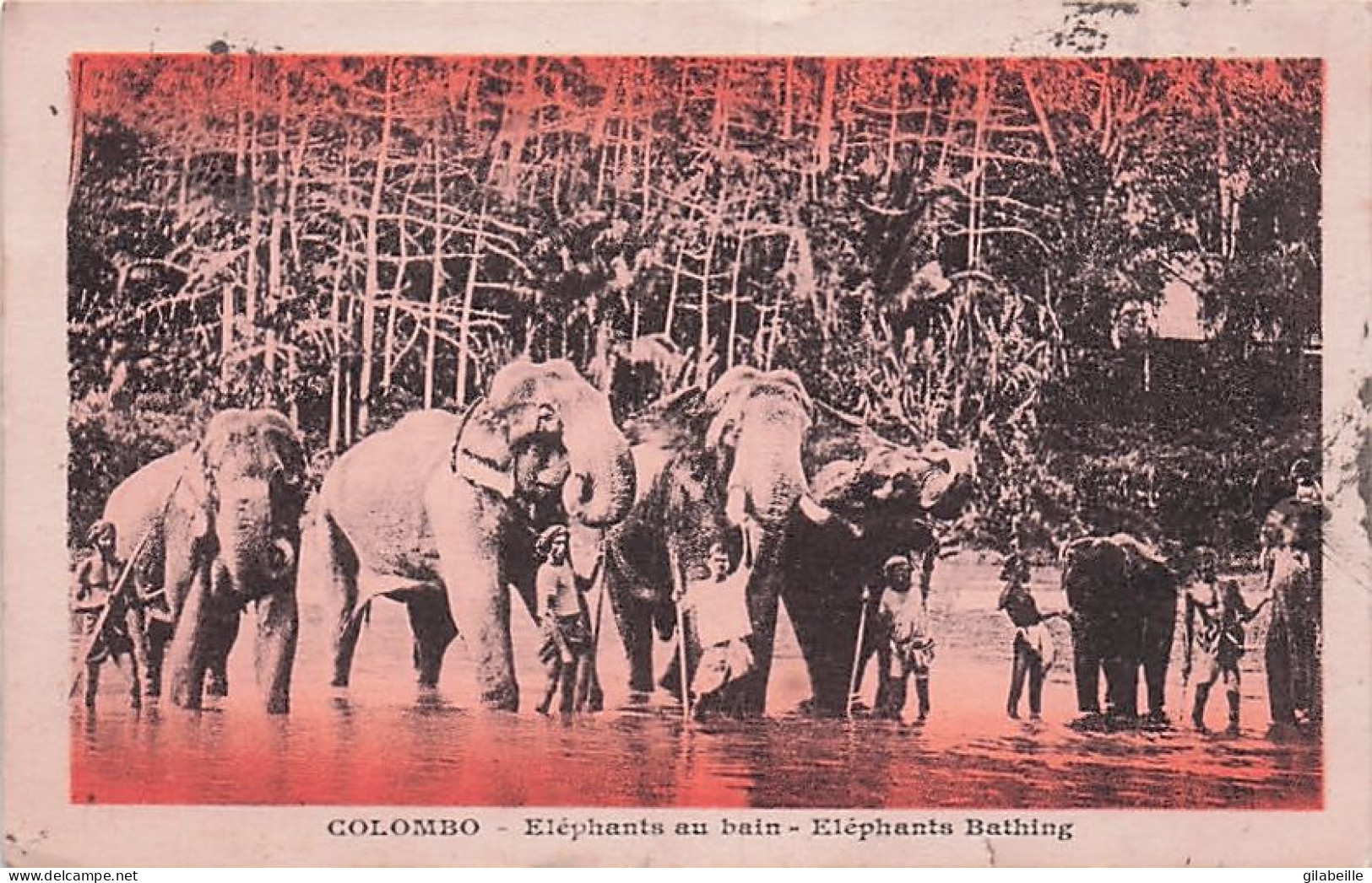 Sri Lanka - Ceylan - Ceylon - Colombo - Elephants Au Bain - Bathing - 1925 - Sri Lanka (Ceylon)
